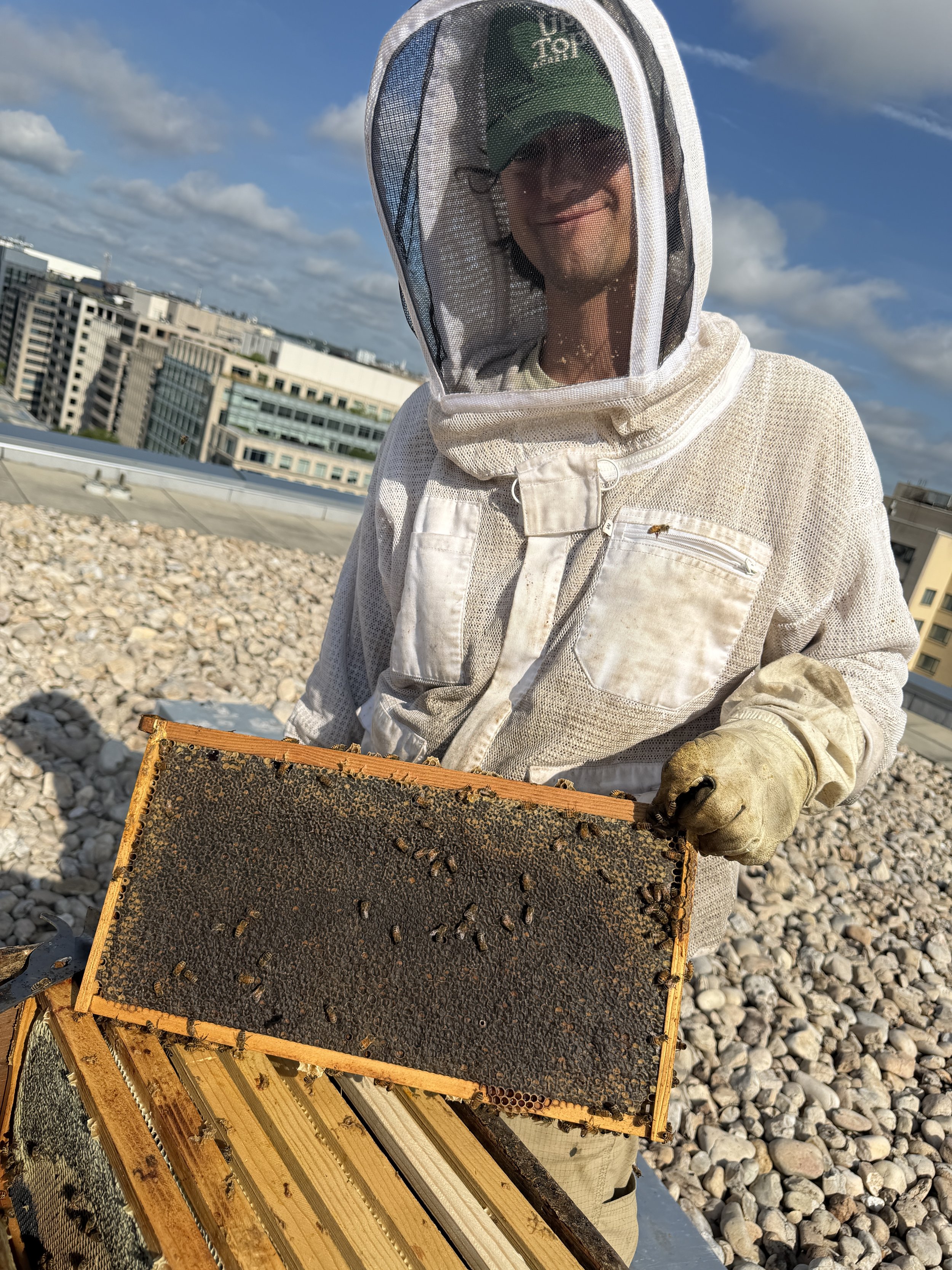 1500 K July Hive Update