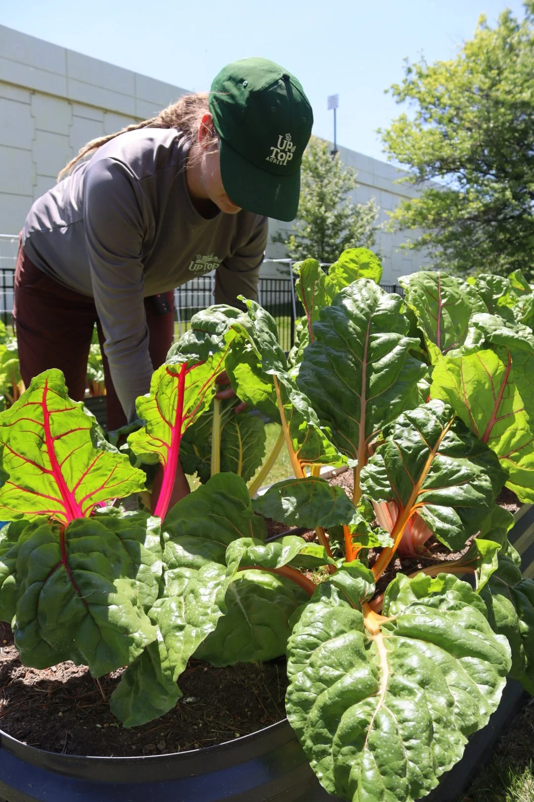 The 620 Freedom Business Center Garden ‘26 Summer Update