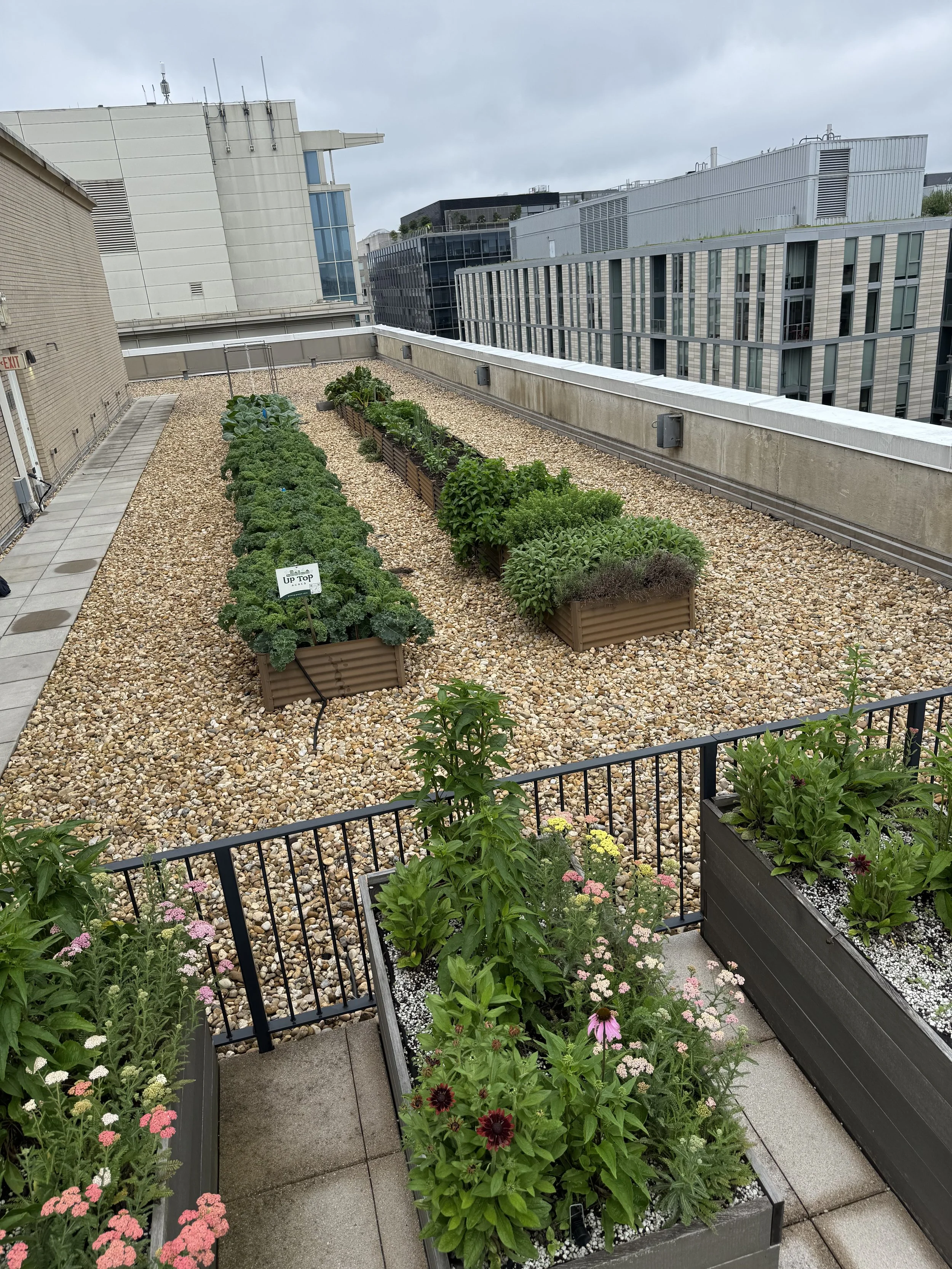 The Victor Garden ‘26 Summer Update