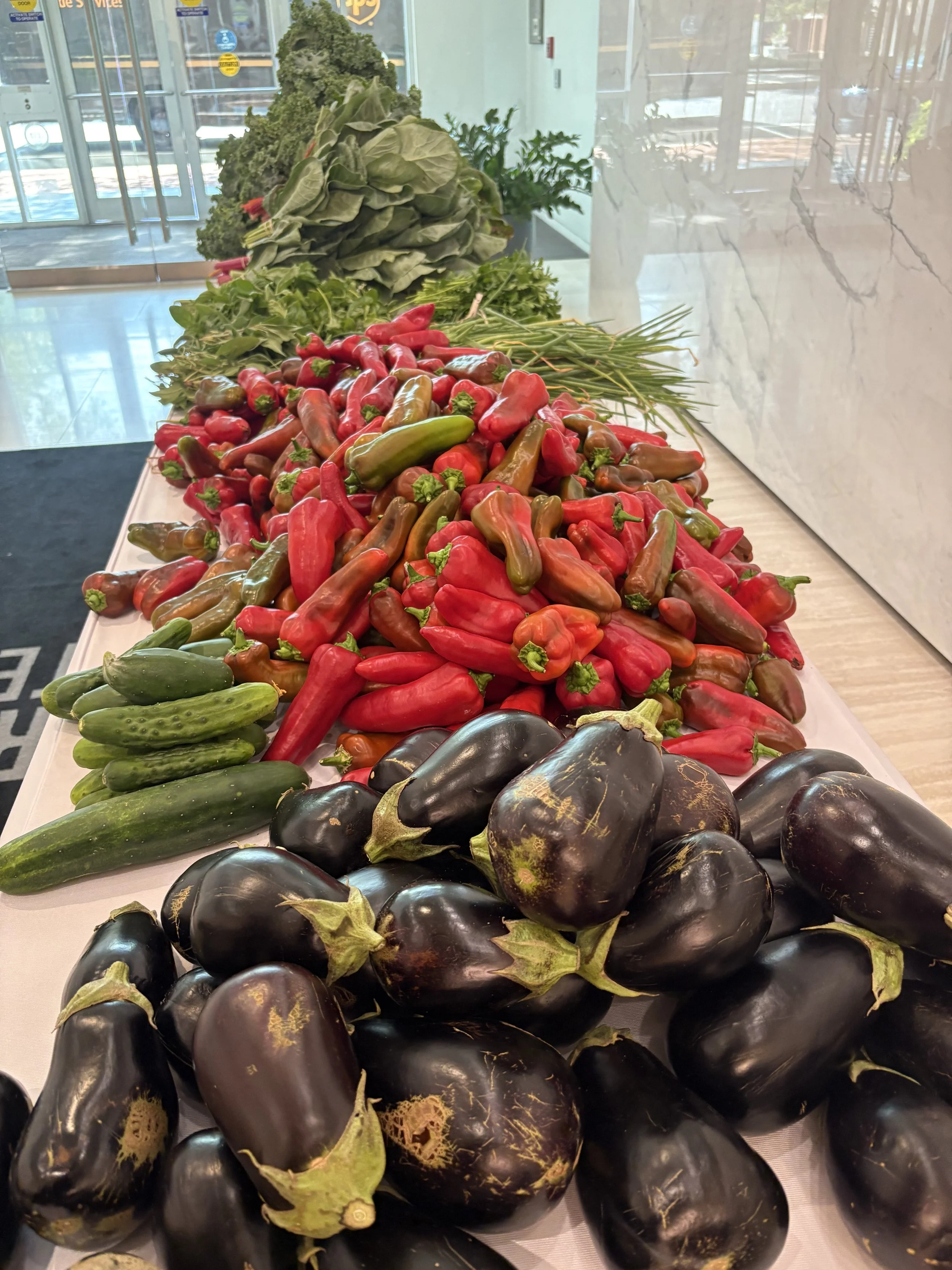 Carlyle Gateway Garden ‘26 Summer Update