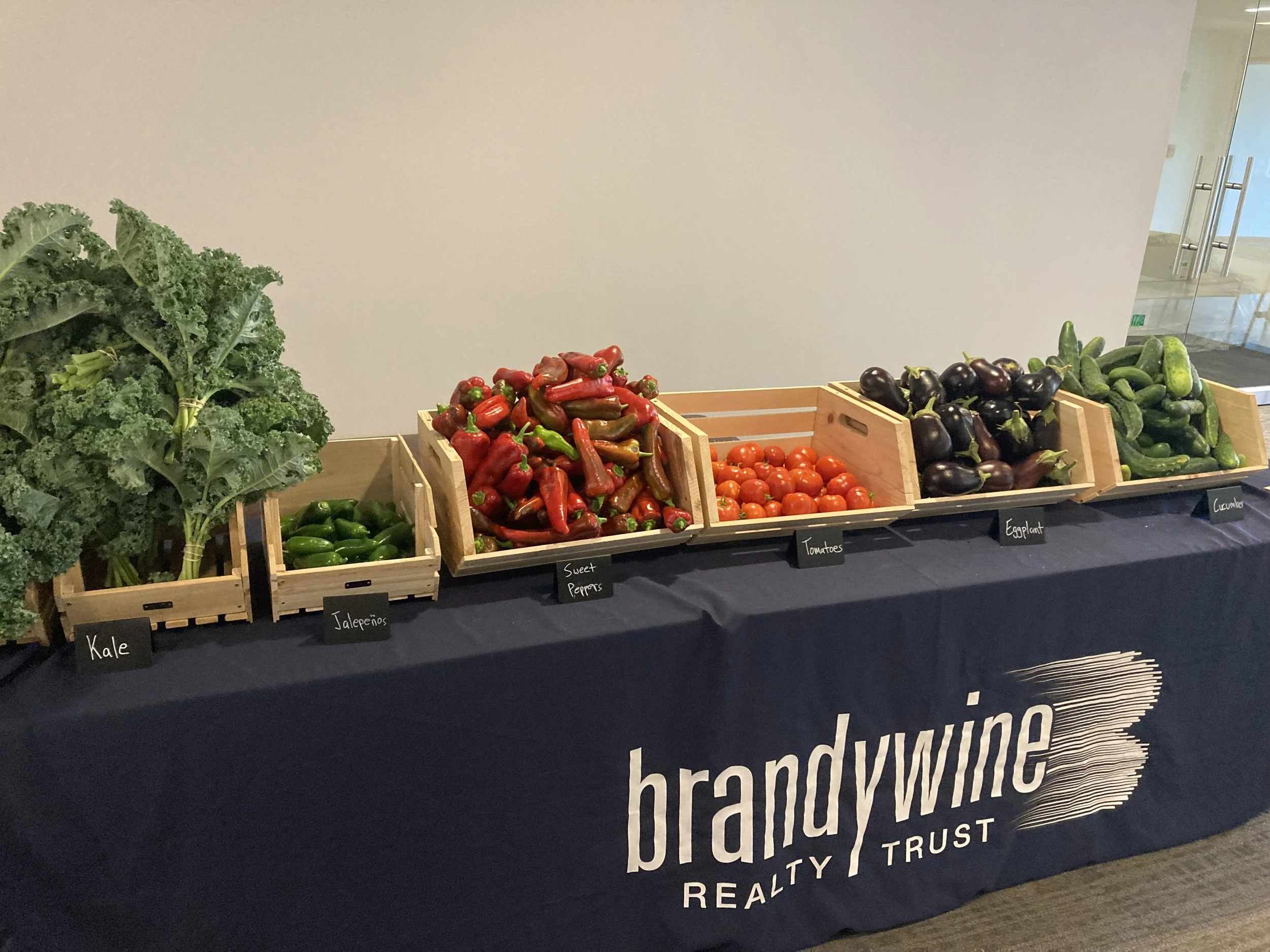 Radnor Corporate Center 8-20 4-5.jpeg