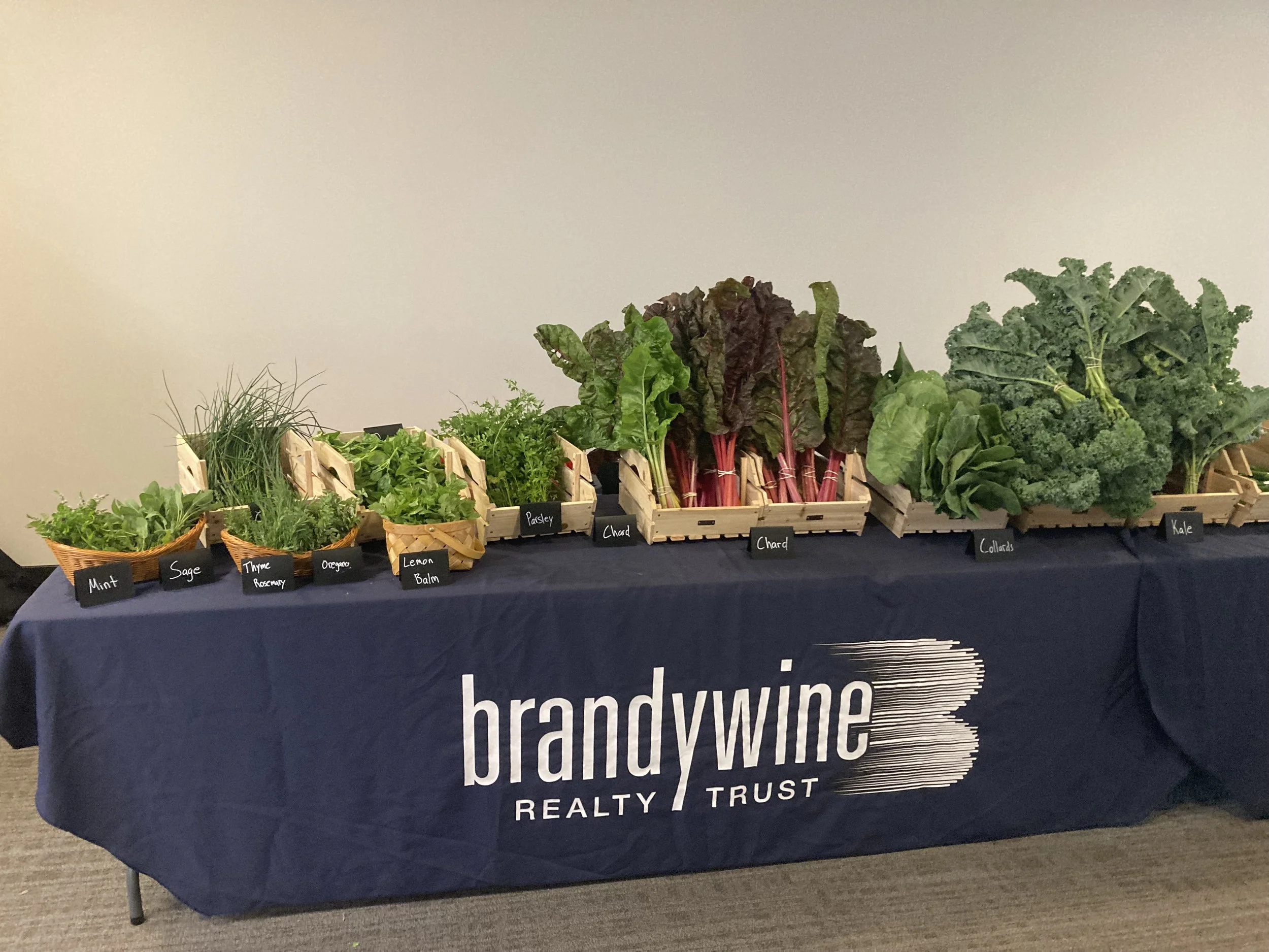 Radnor Corporate Center 8-20 5-5.jpeg
