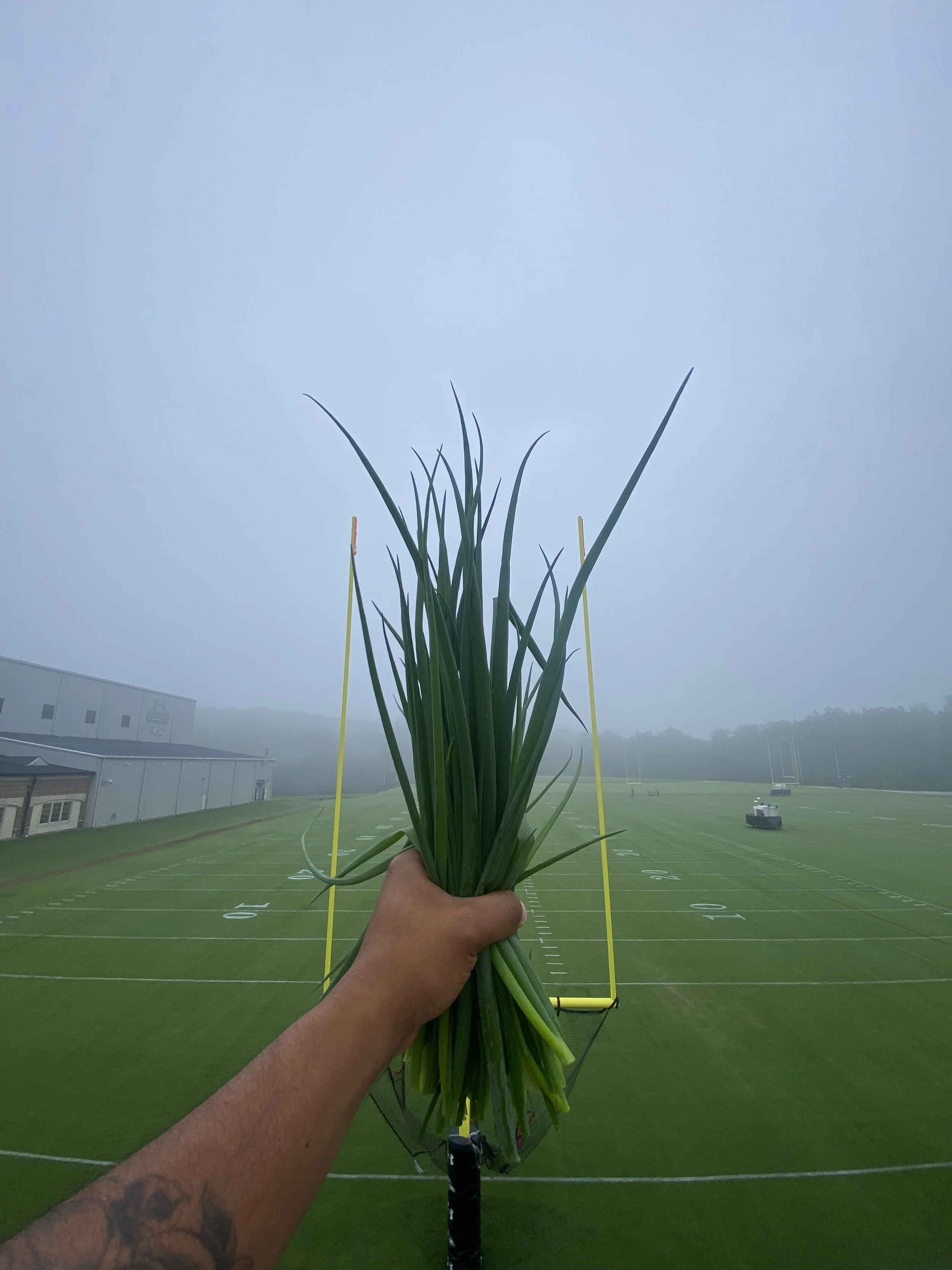 Ravens Training Center_05-27_2of5 (1).jpeg