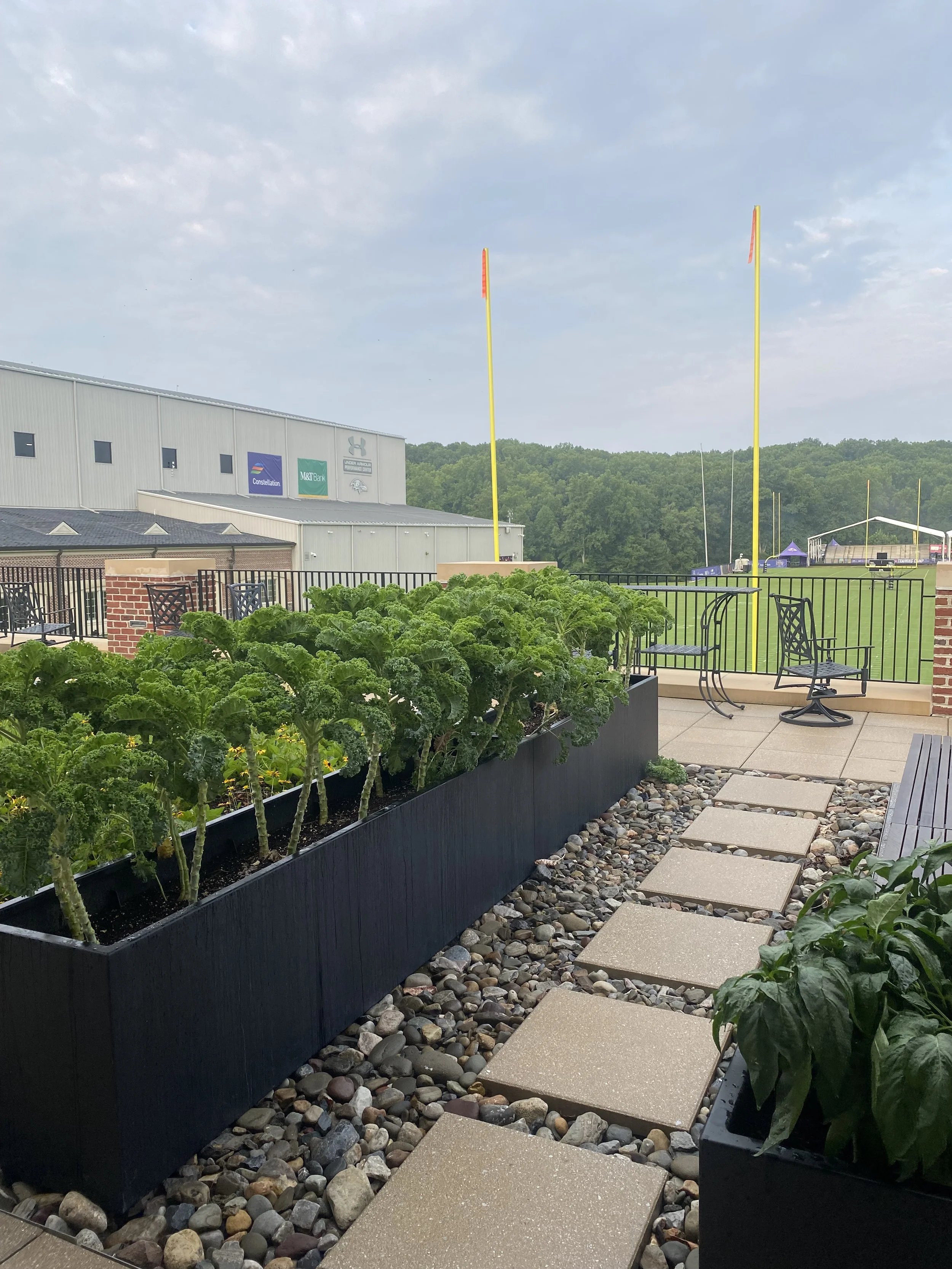Ravens Training Center_08-13_2of3.jpeg