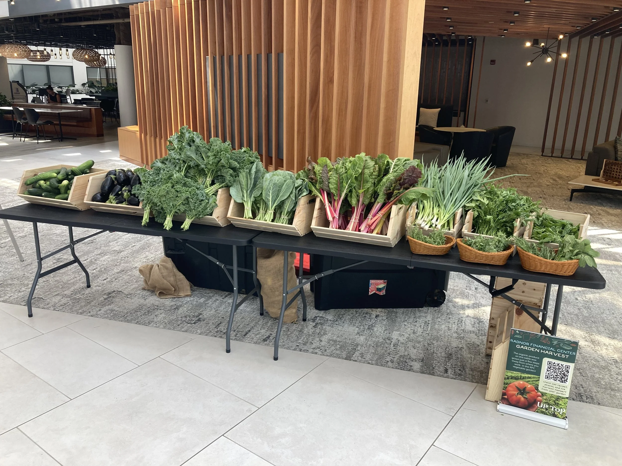 Radnor Financial Center 7-23 1_1.jpeg