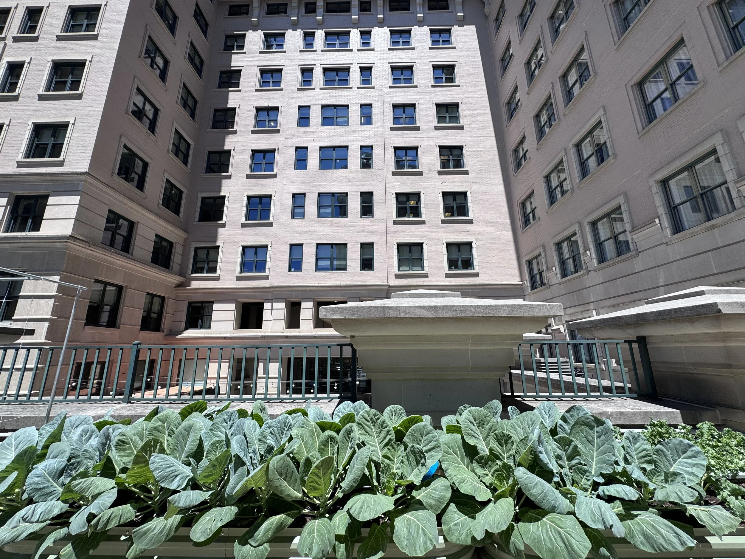 The Willard Center (1455 Pennsylvania Ave. NW)_06-02_4of6 (1).jpeg