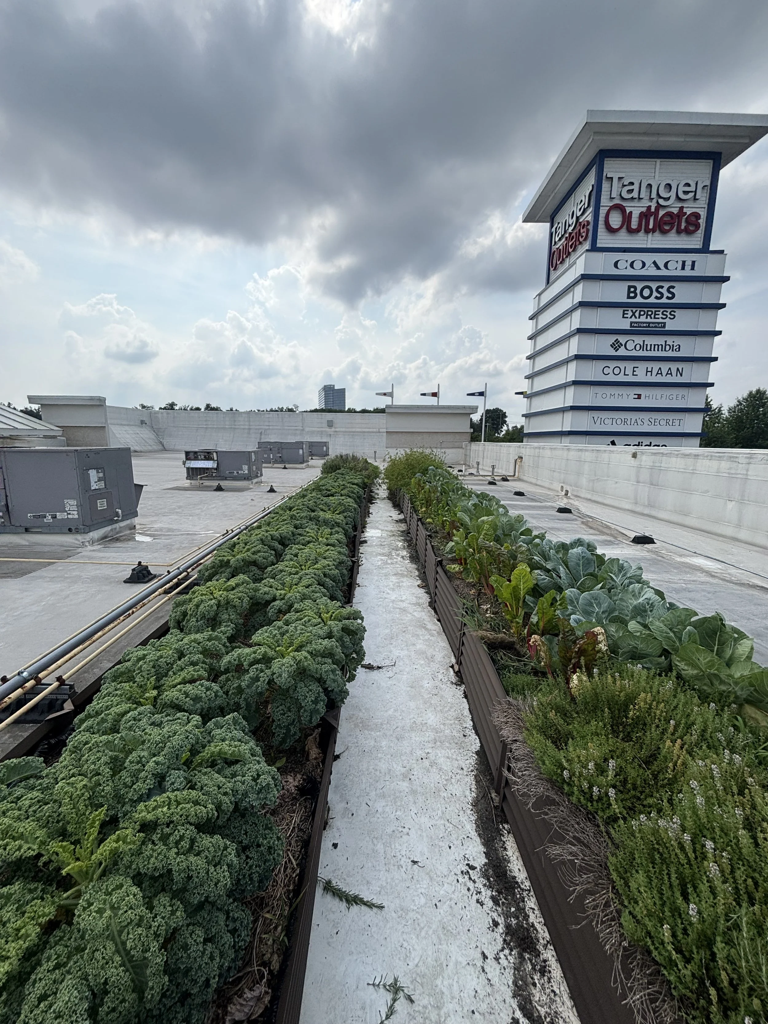 Tanger Maryland (6800. Oxon Hill Rd.)_07-14_1of2.jpeg
