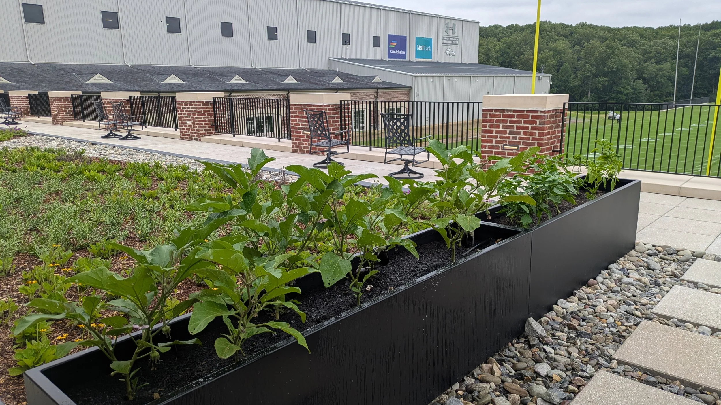 Ravens Training Center - 8_18_2025 - 5.jpg