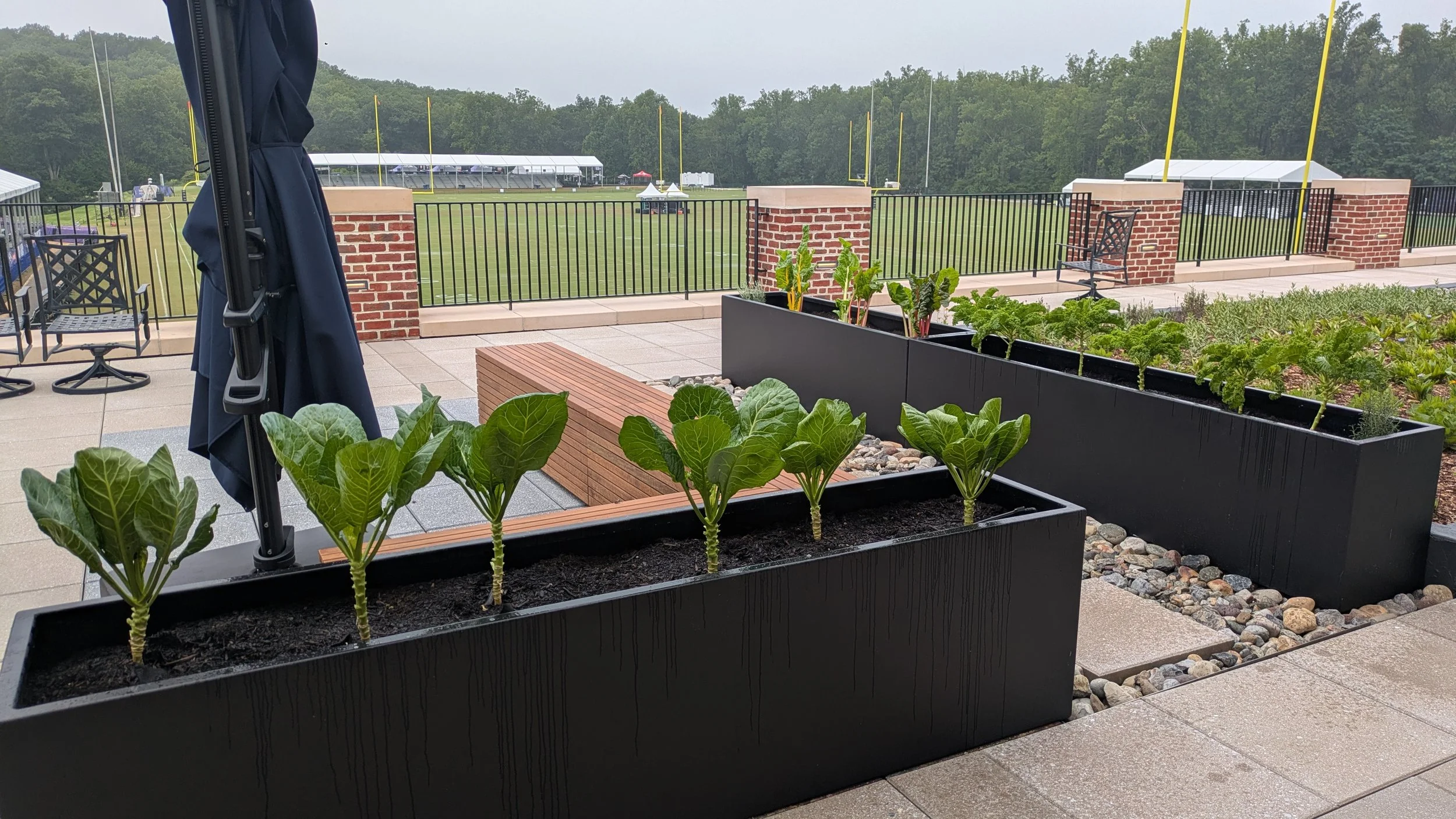 Ravens Training Center - 8_11_2025 - 1.jpg