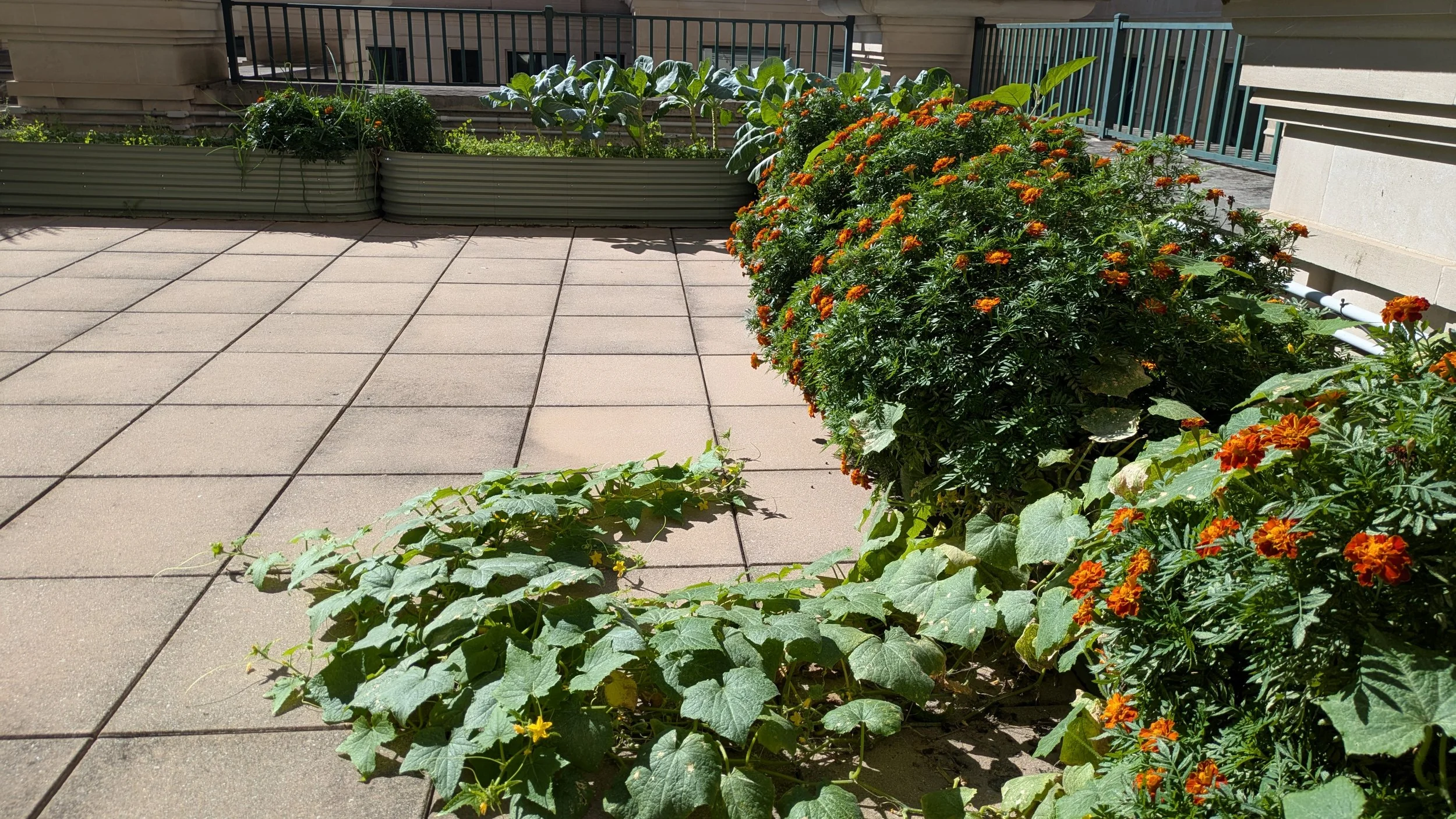 The Willard Center - 10_1_2025 - 3.jpg