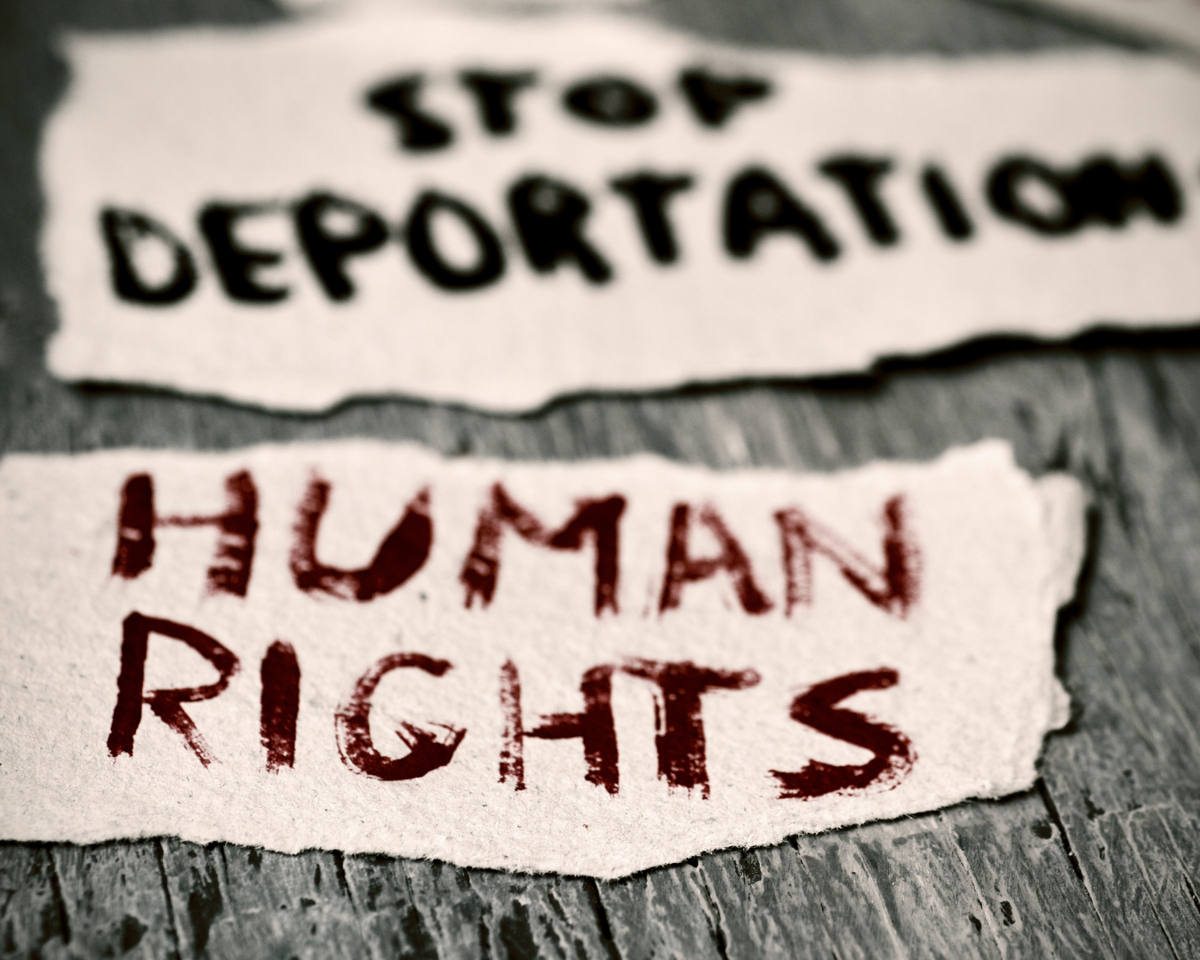 Emerging Legal Issue: Intersection of Immigration and Family Law.