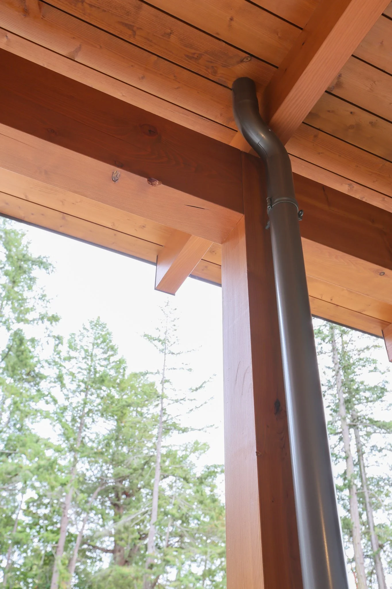 Jude & Dave web-61.jpg