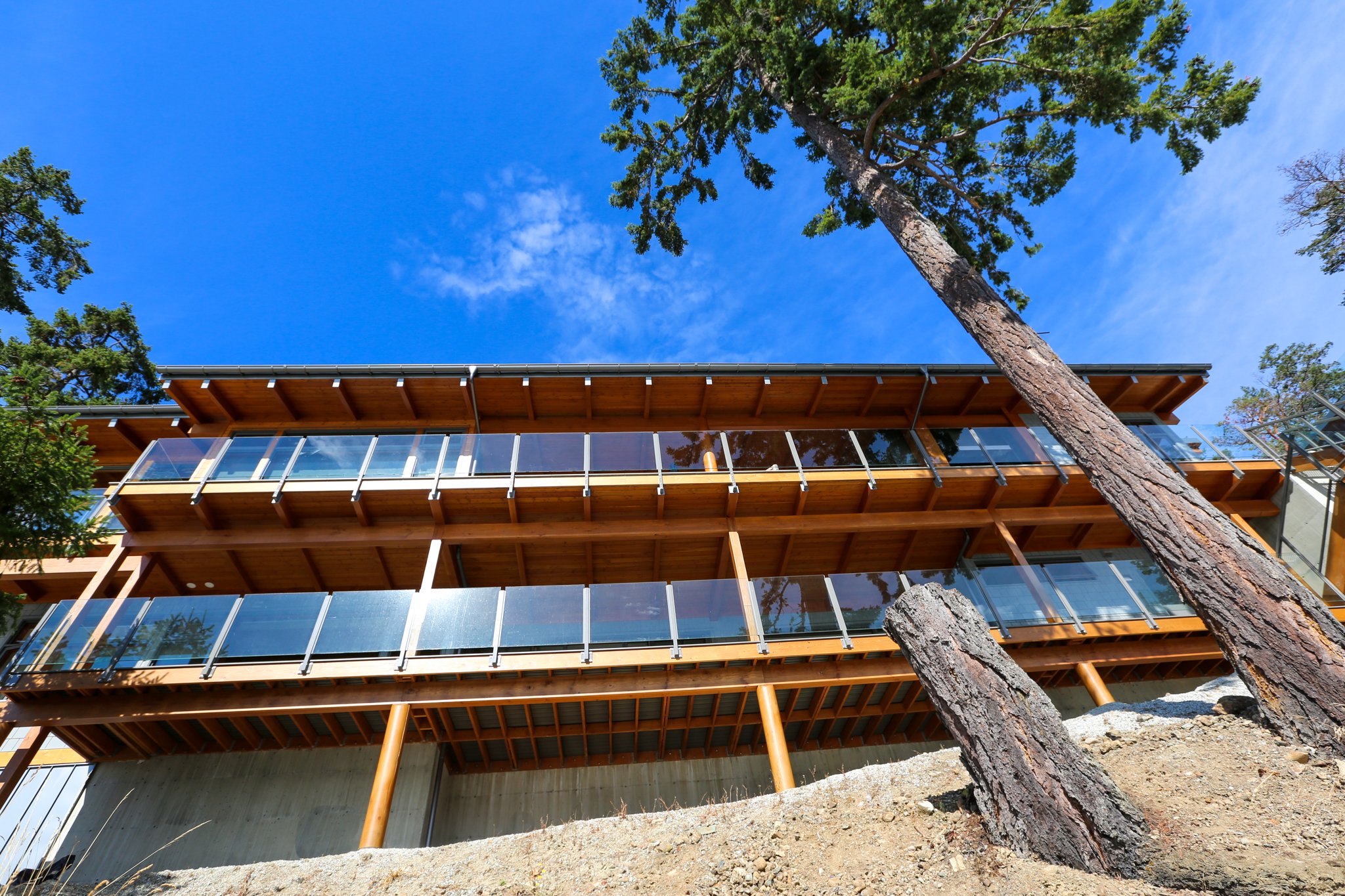 Jude & Dave web-47.jpg