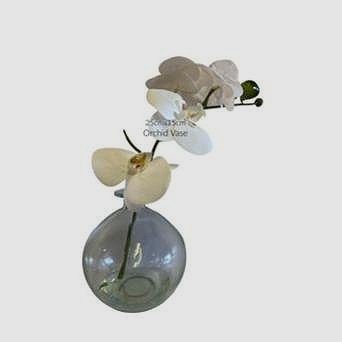 chicky+orchid.jpg