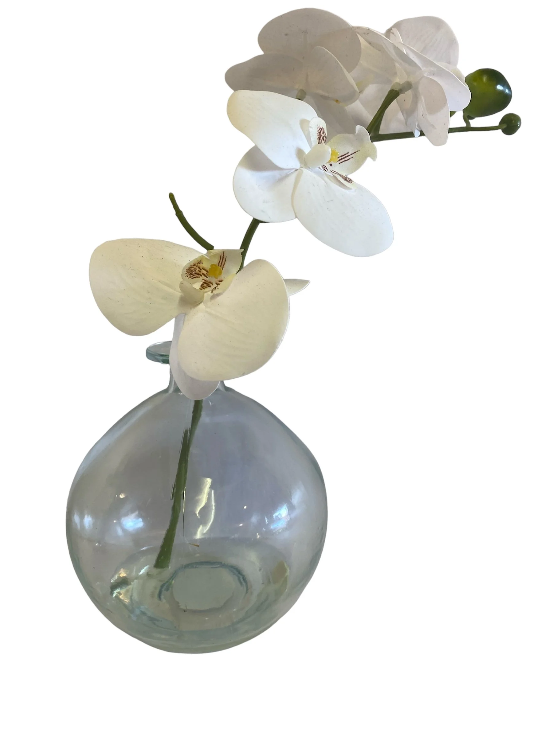 Fake Plants -  Miscellaneous