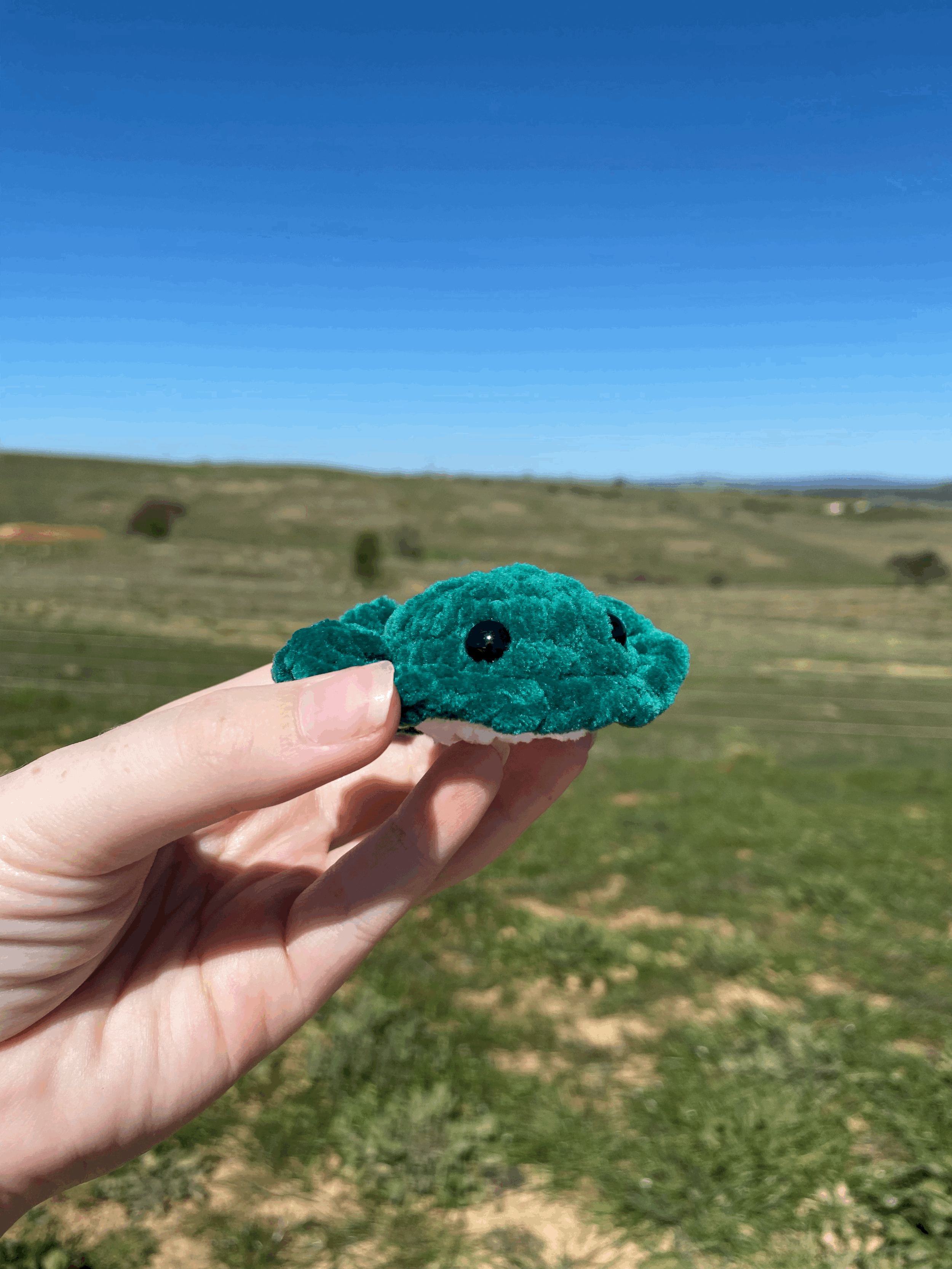 tempImageBo7bBB.gif