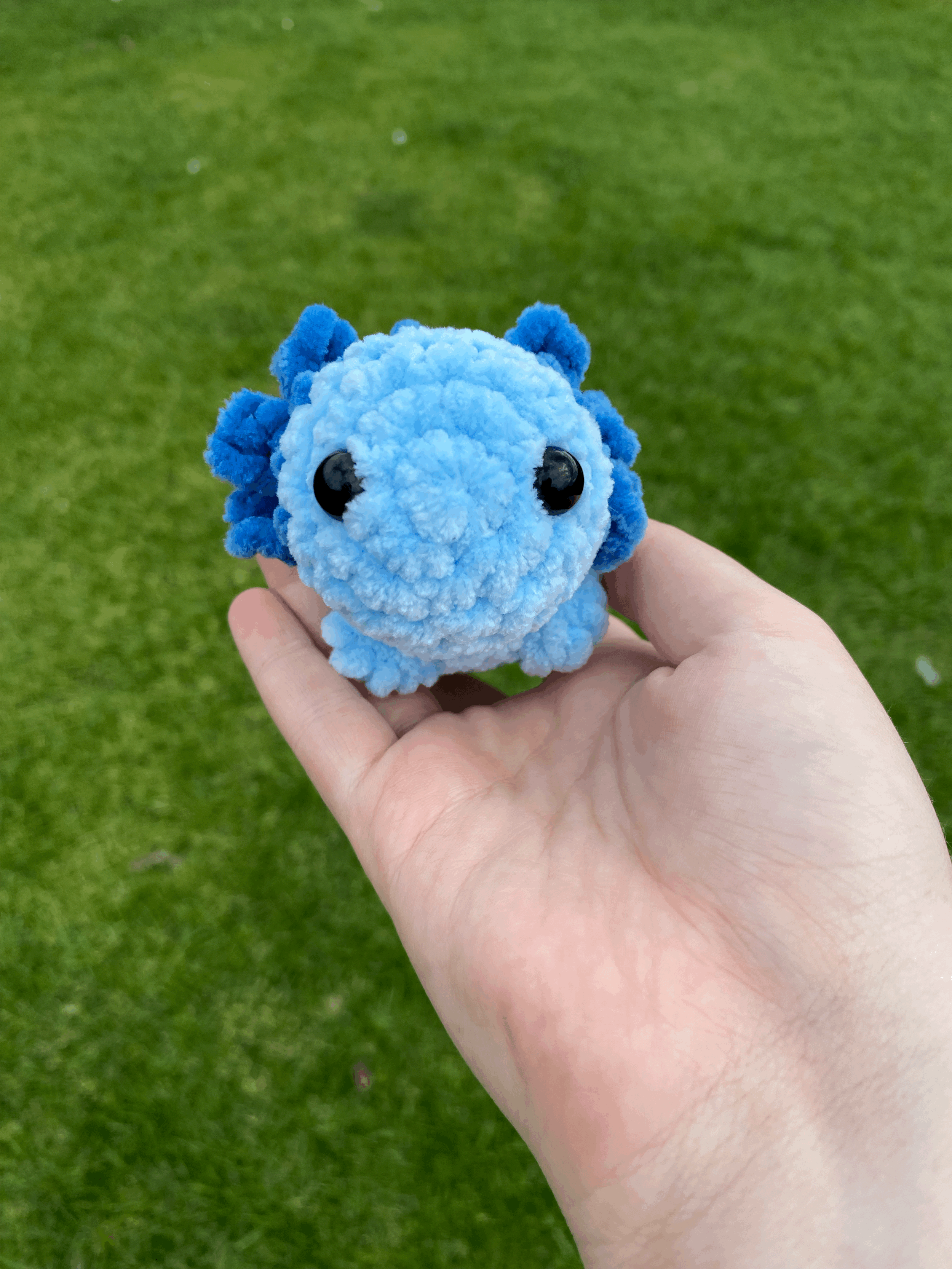 tempImageWiSIF6.gif