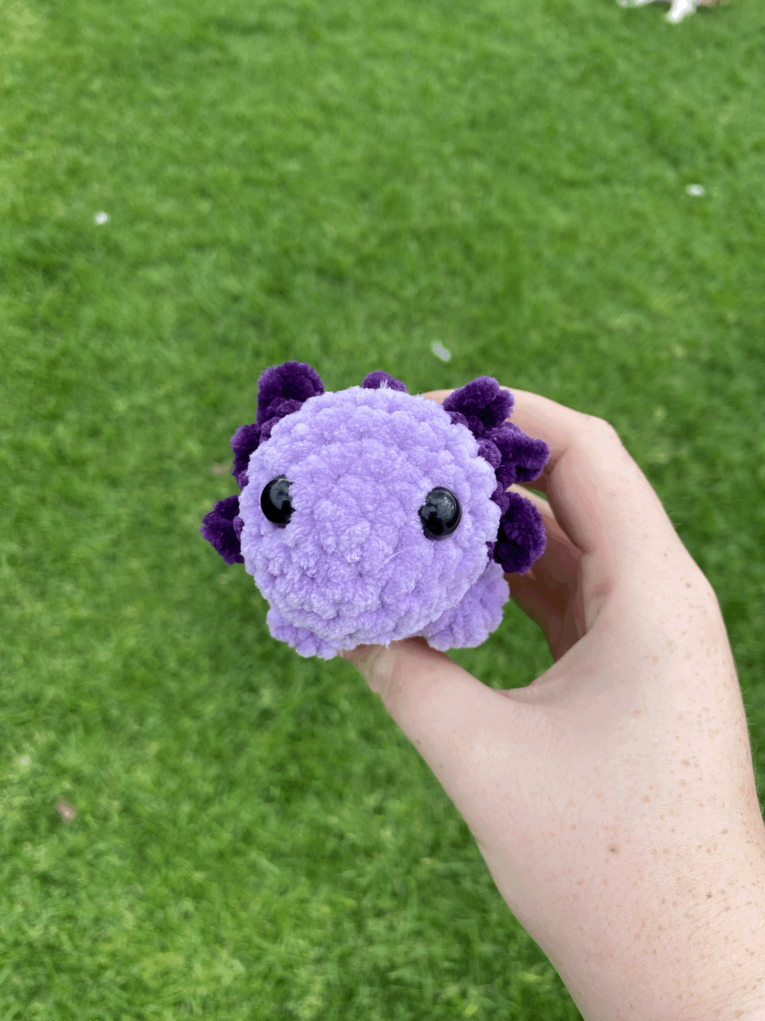 tempImageYocYmp.gif