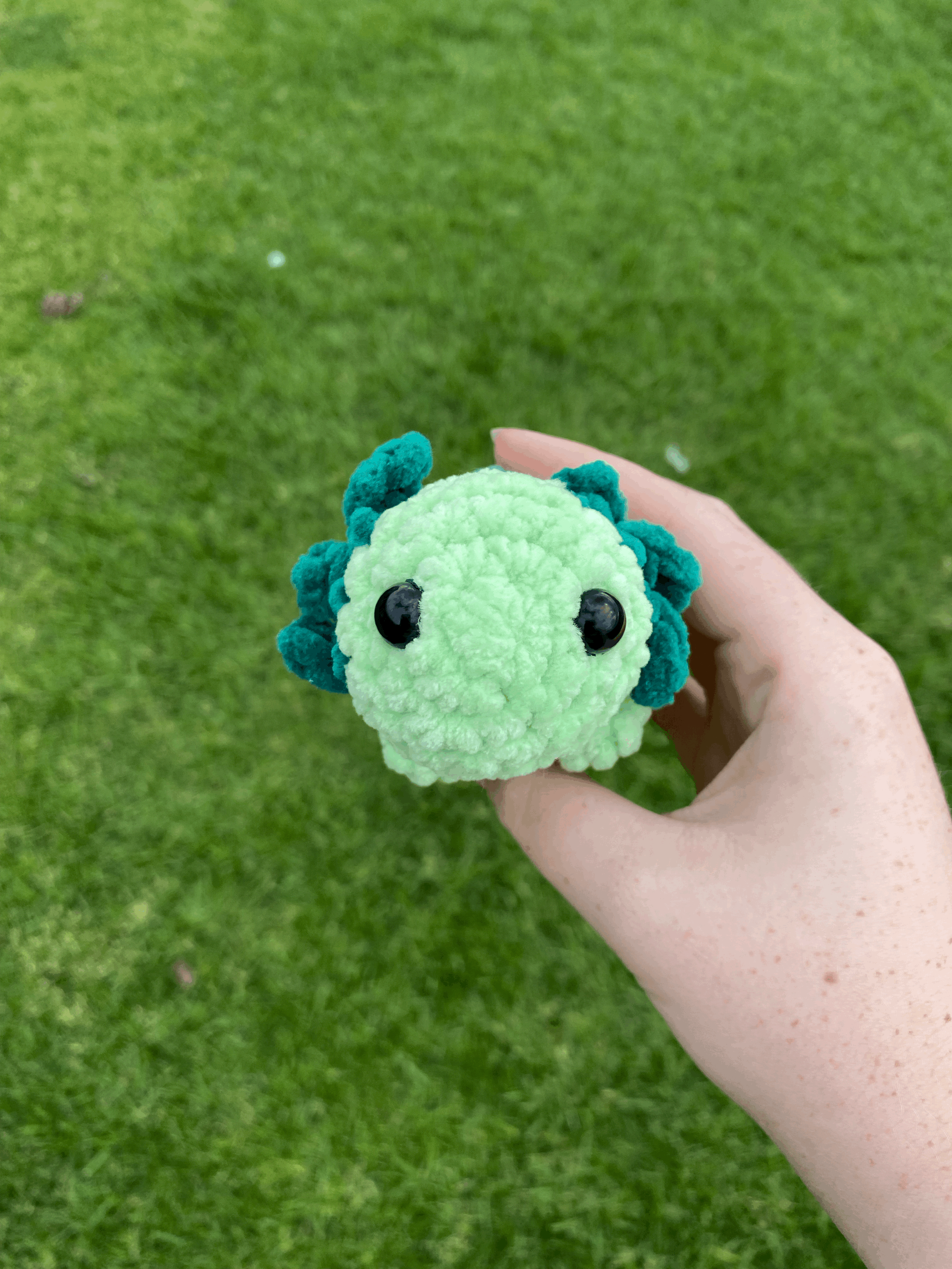 tempImageSq2sLZ.gif