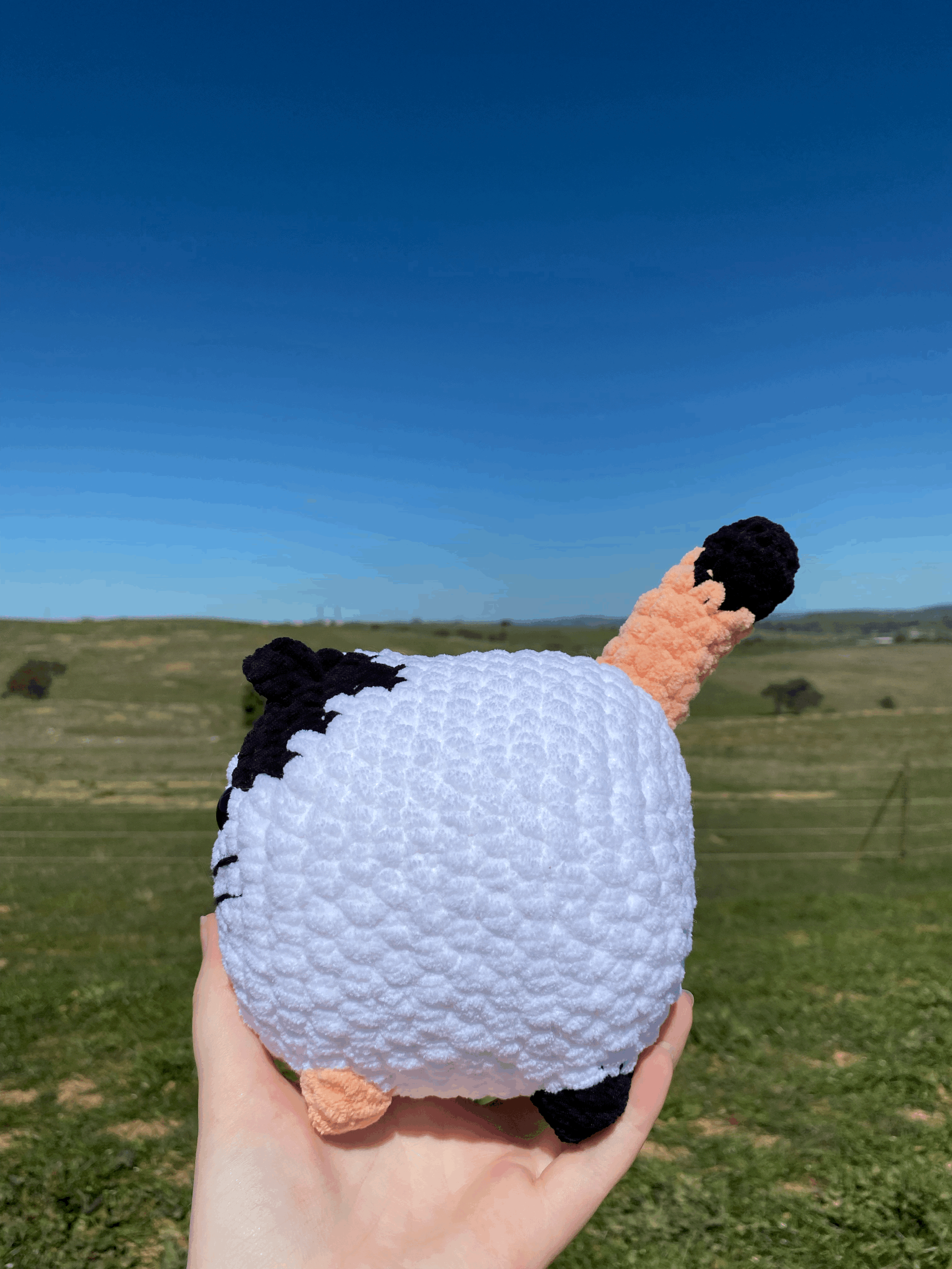 tempImageHKXYie.gif