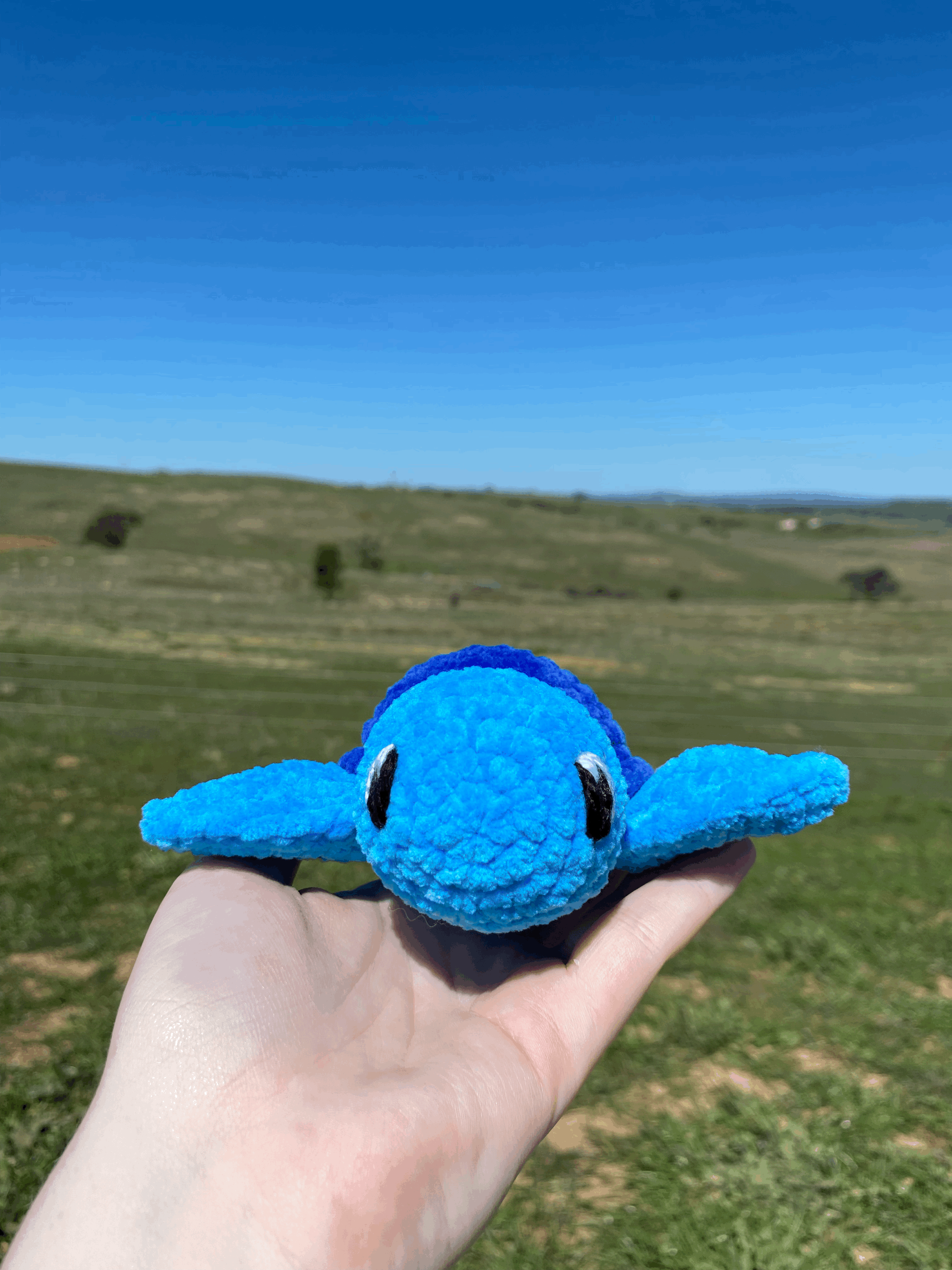 tempImageq7607q.gif
