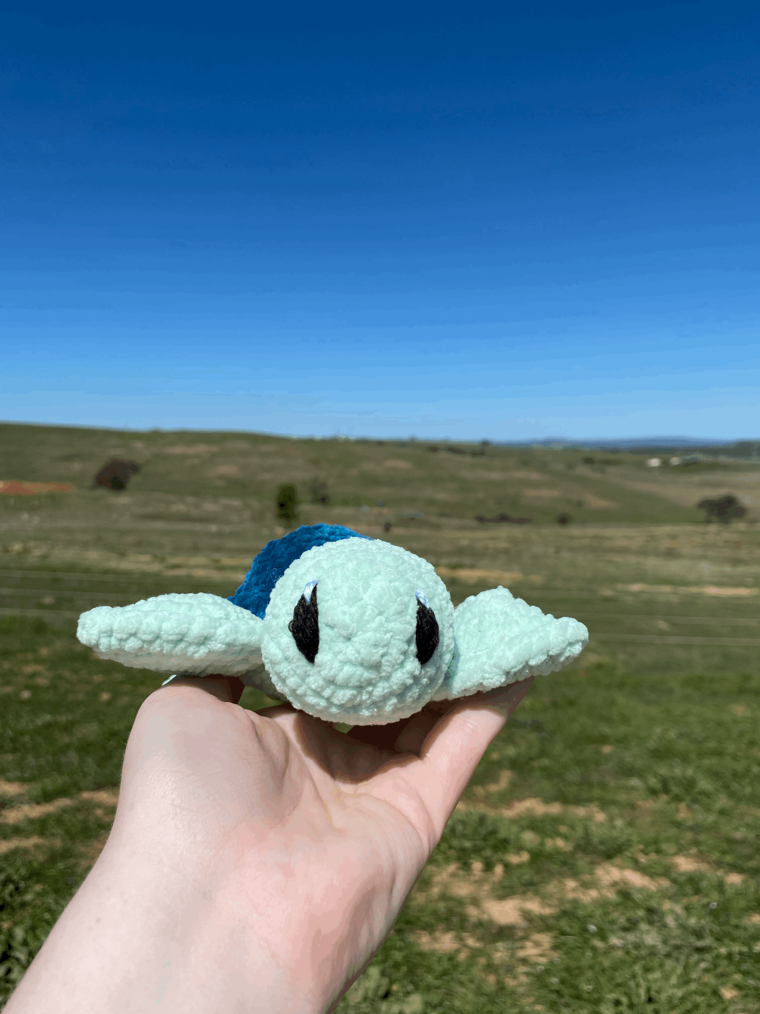 tempImageGOUsCR.gif
