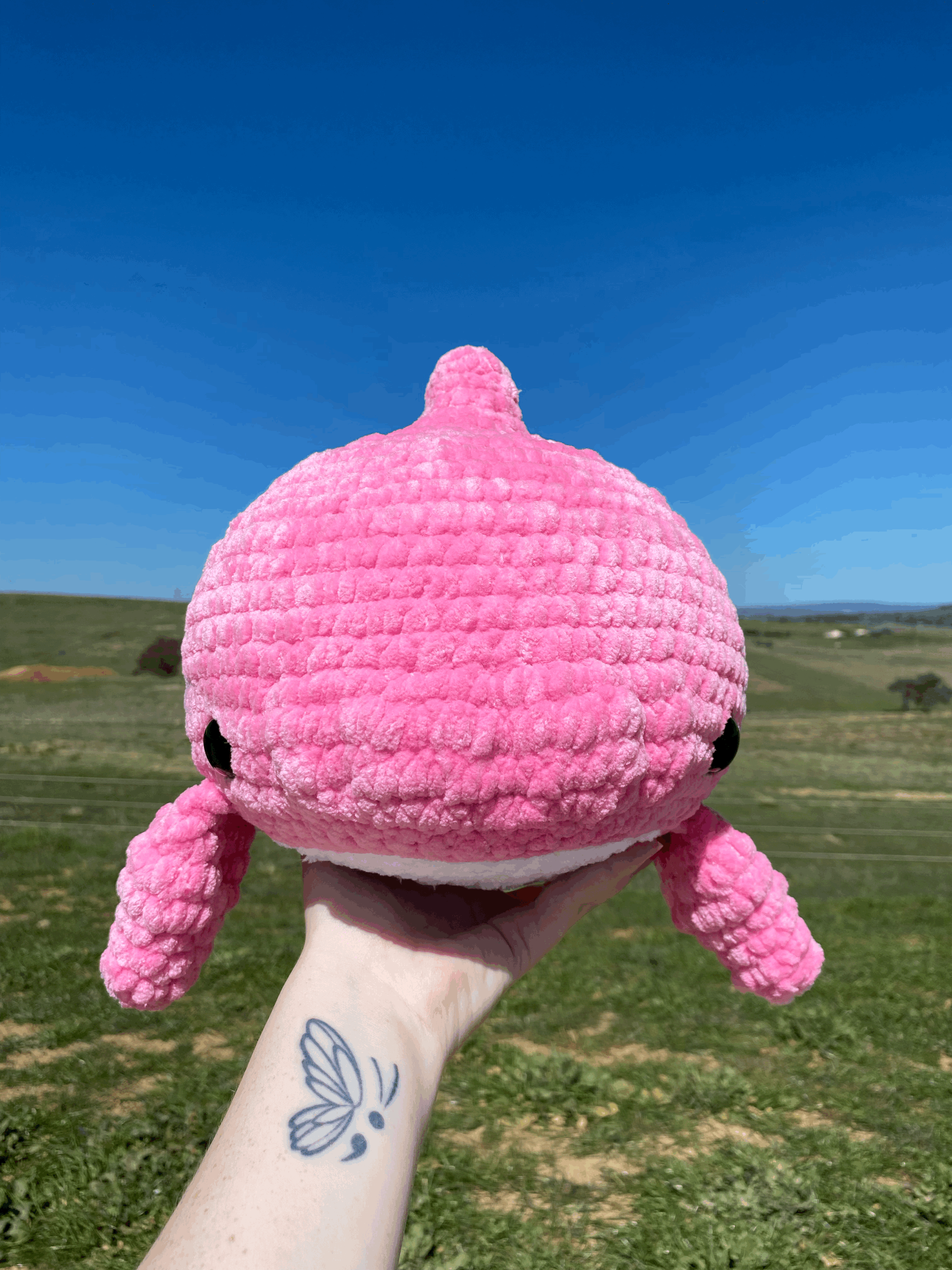tempImageZgdAWW.gif