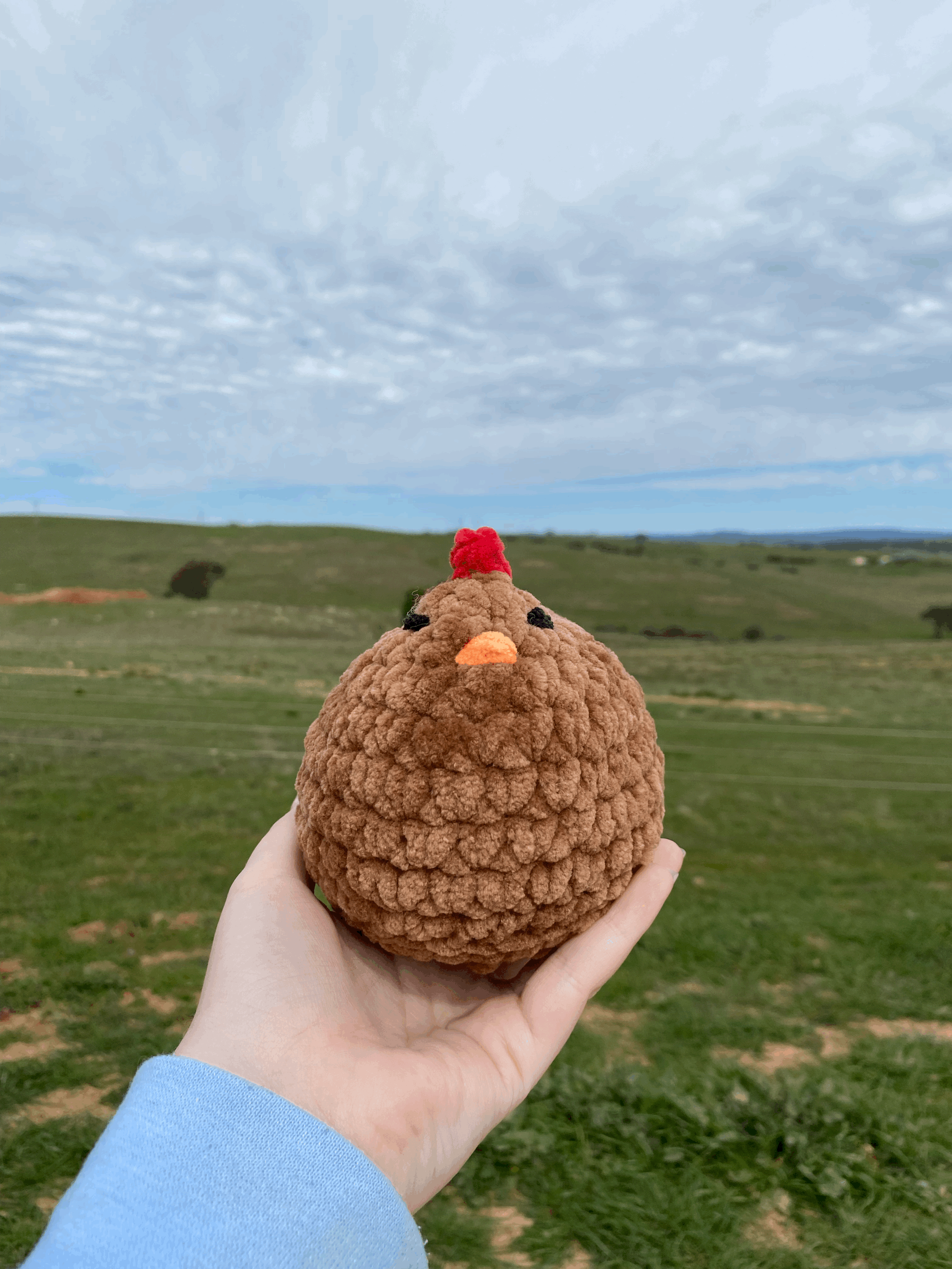 tempImageu9q7Ms.gif