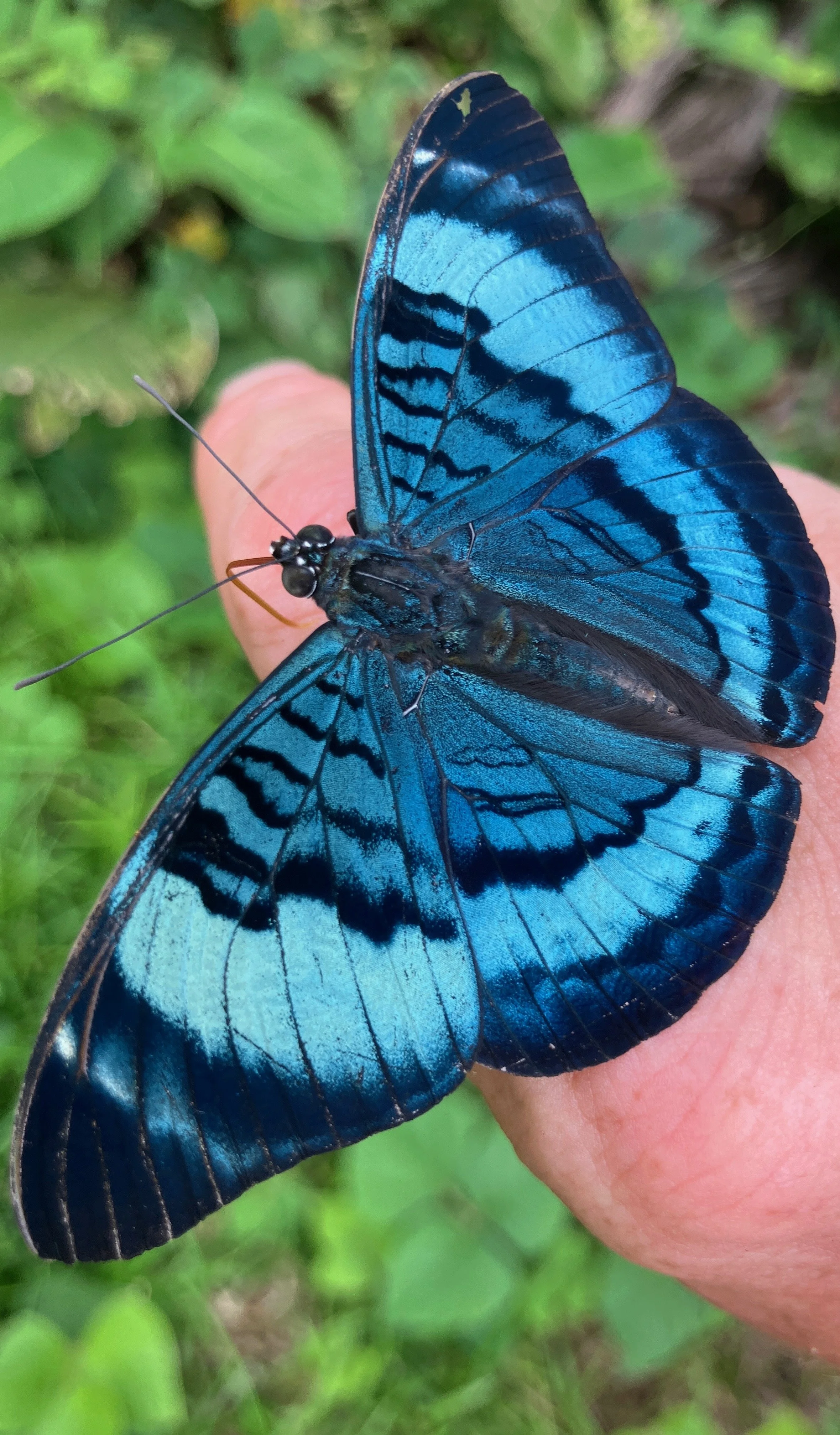 FullSizeRender 3.JPG