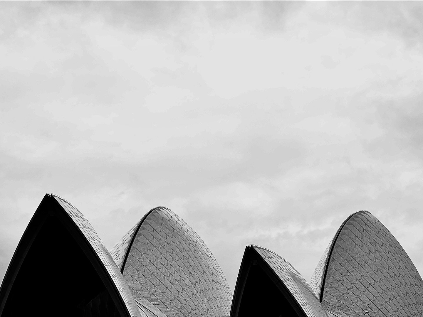 We visited the #sydneyoperahouse , it was pointy.
#roadtrip #iphonephotography #operahouse #australia #sydneysights