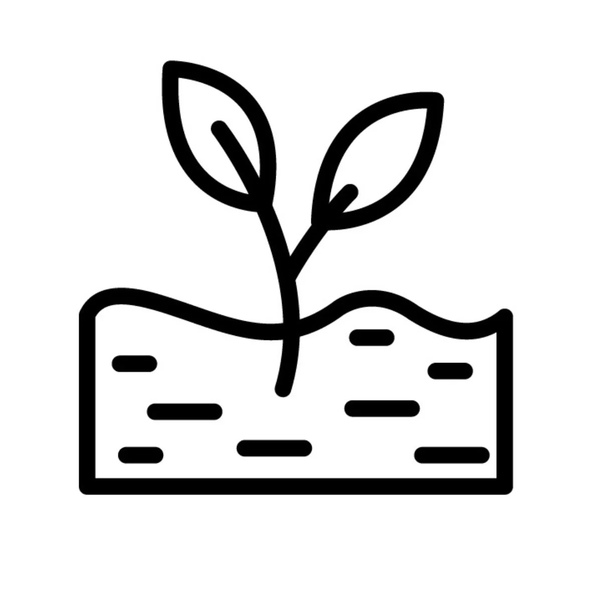 Regenerative Cropping