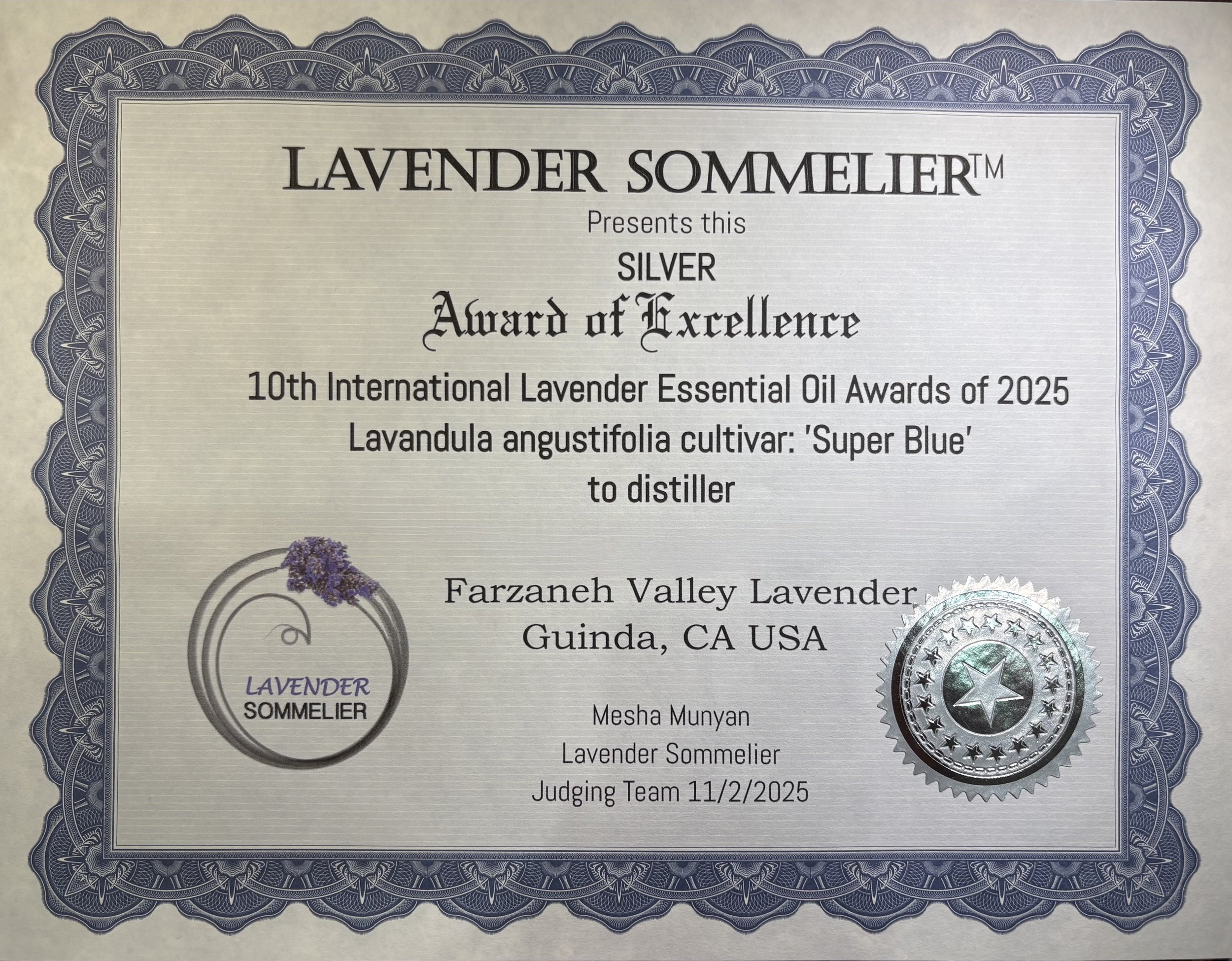 Silver Award of Excellence 2025.jpeg