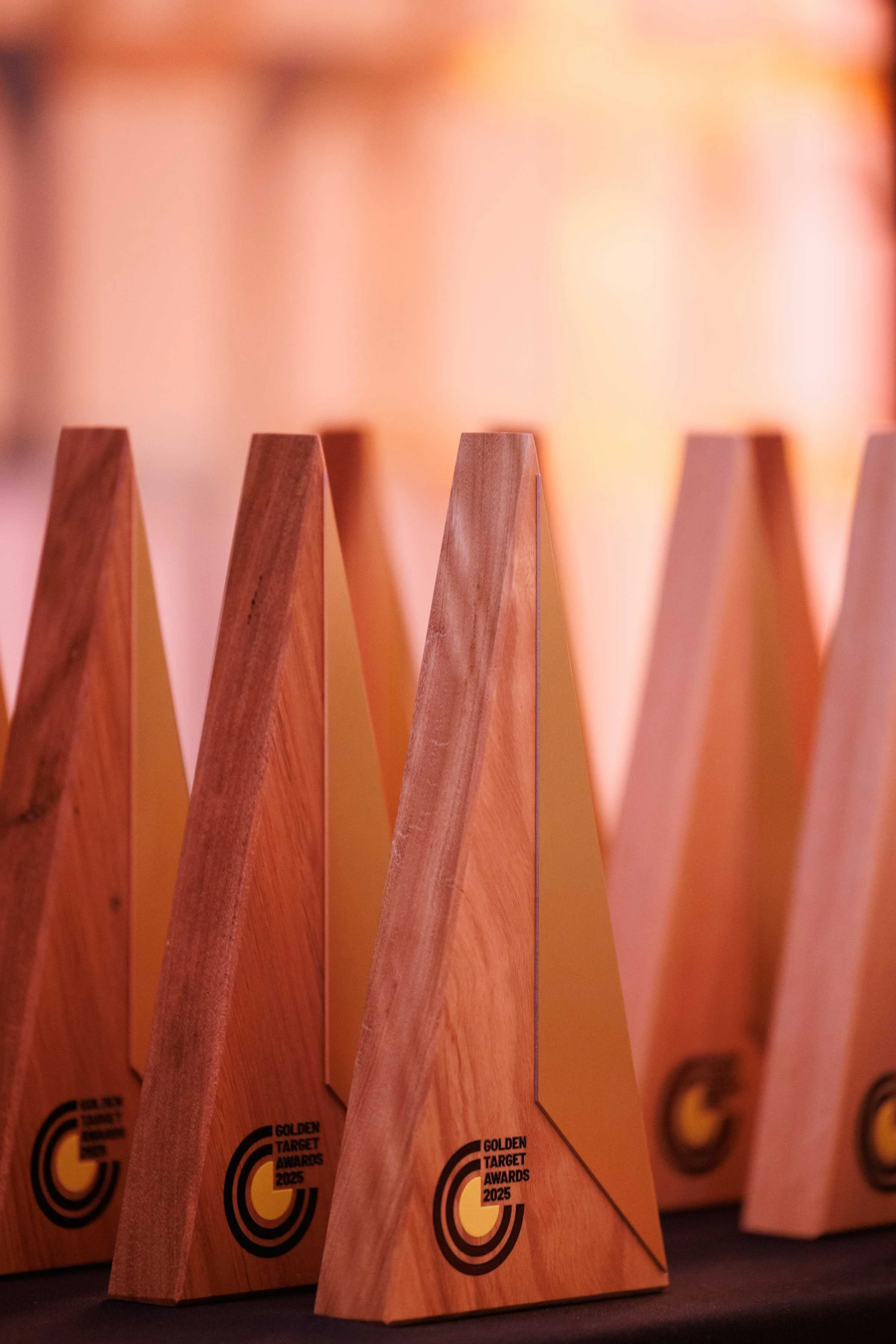 An image of a line-up of the Golden Target Awards.