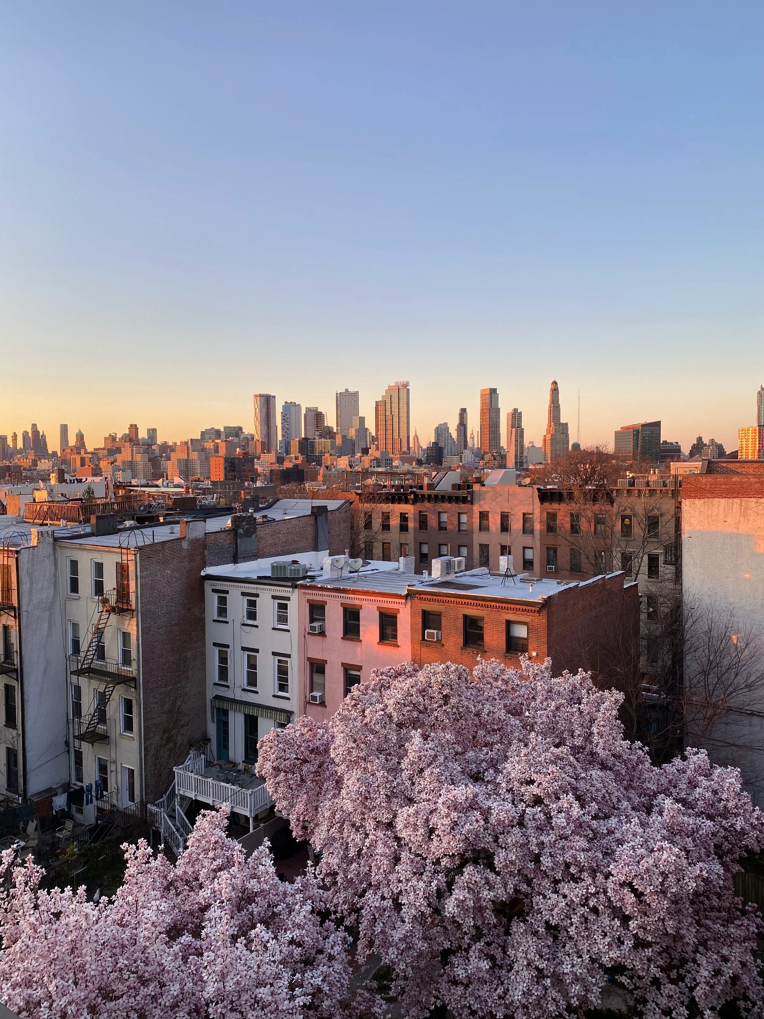 City skyline at sunset with pink flowering trees and residential buildings in the foreground.