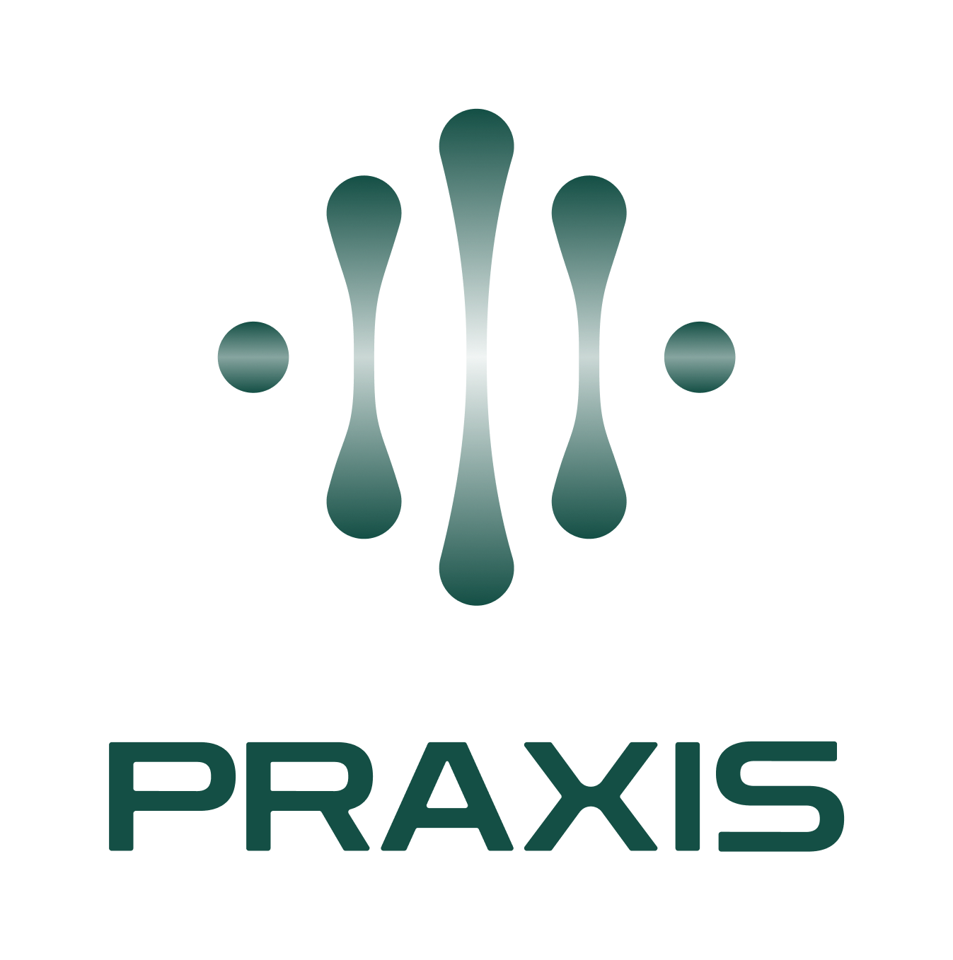 Praxis Neurophysiology