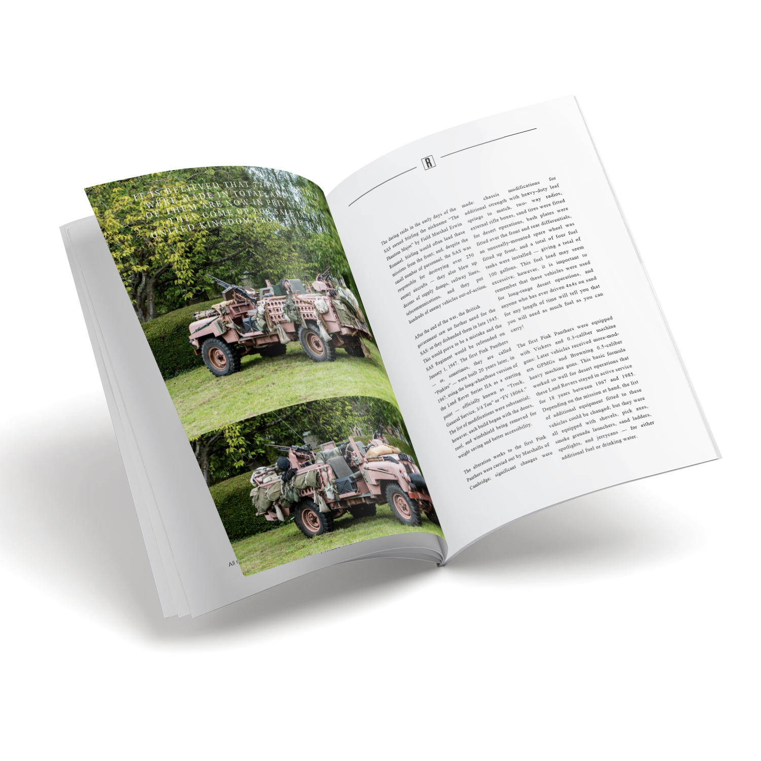 10 pcs inside spreads images for V22_5.png