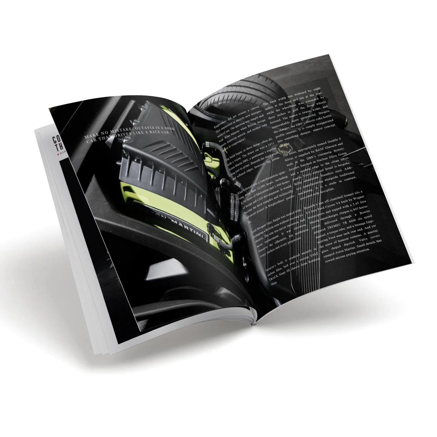 10 pcs inside spreads images for V21_31.jpg