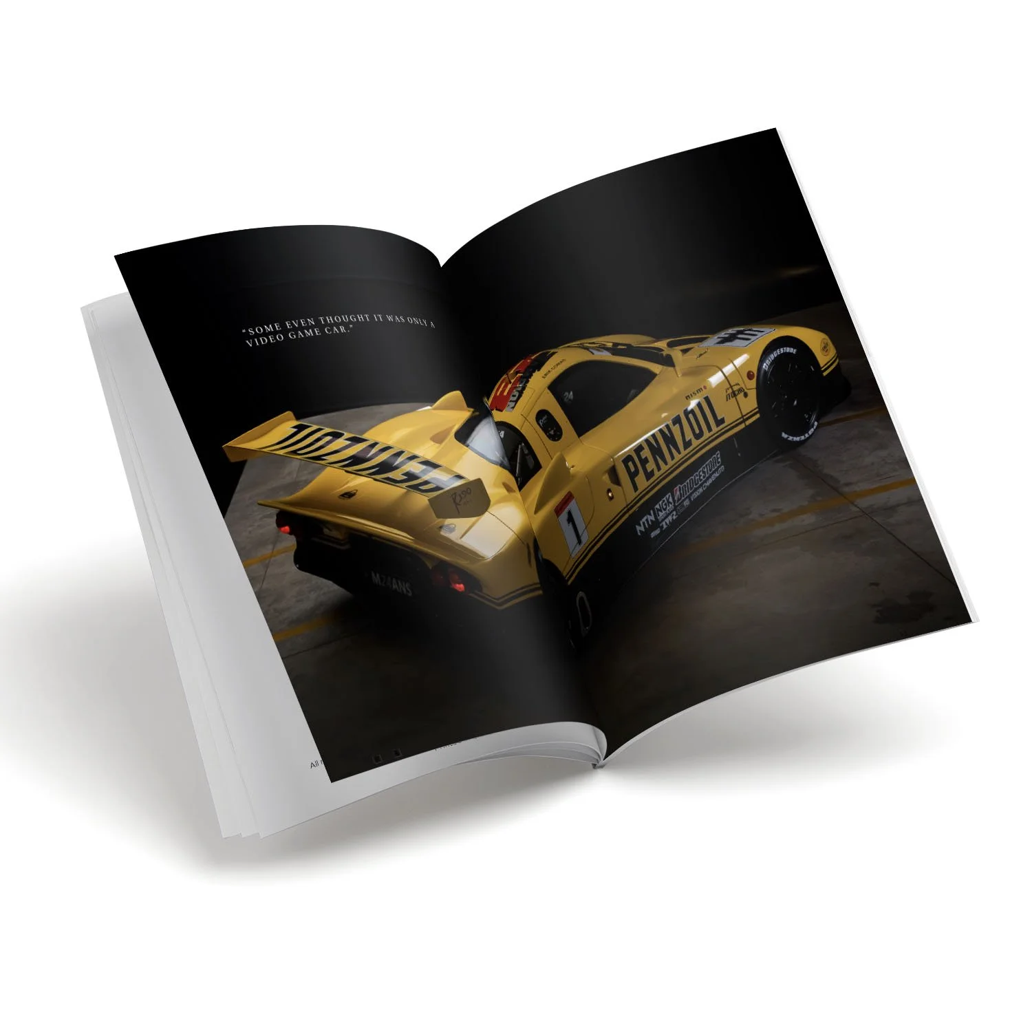10 pcs inside spreads images for V25_11.jpg