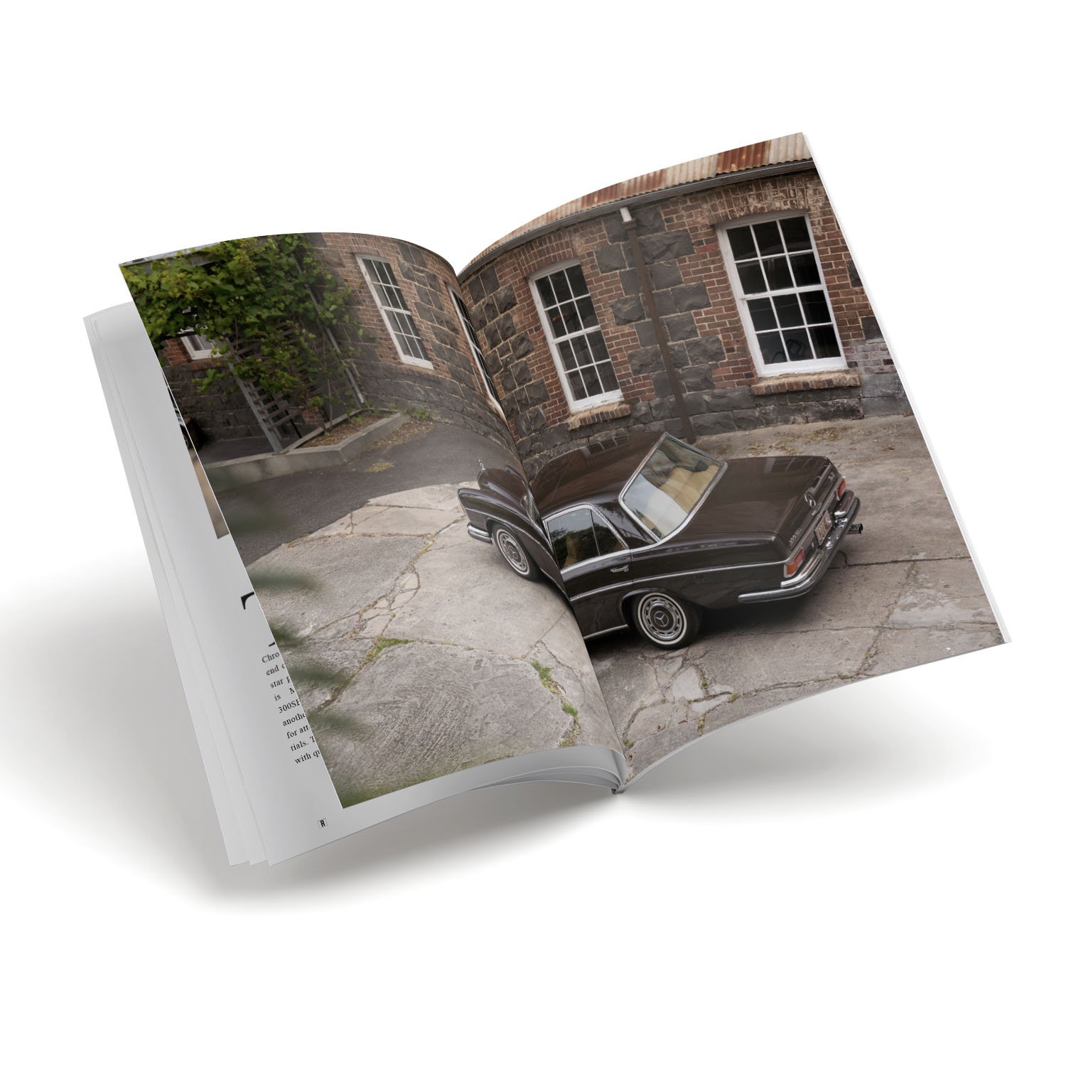 10 pcs inside spreads images for V25_101.jpg