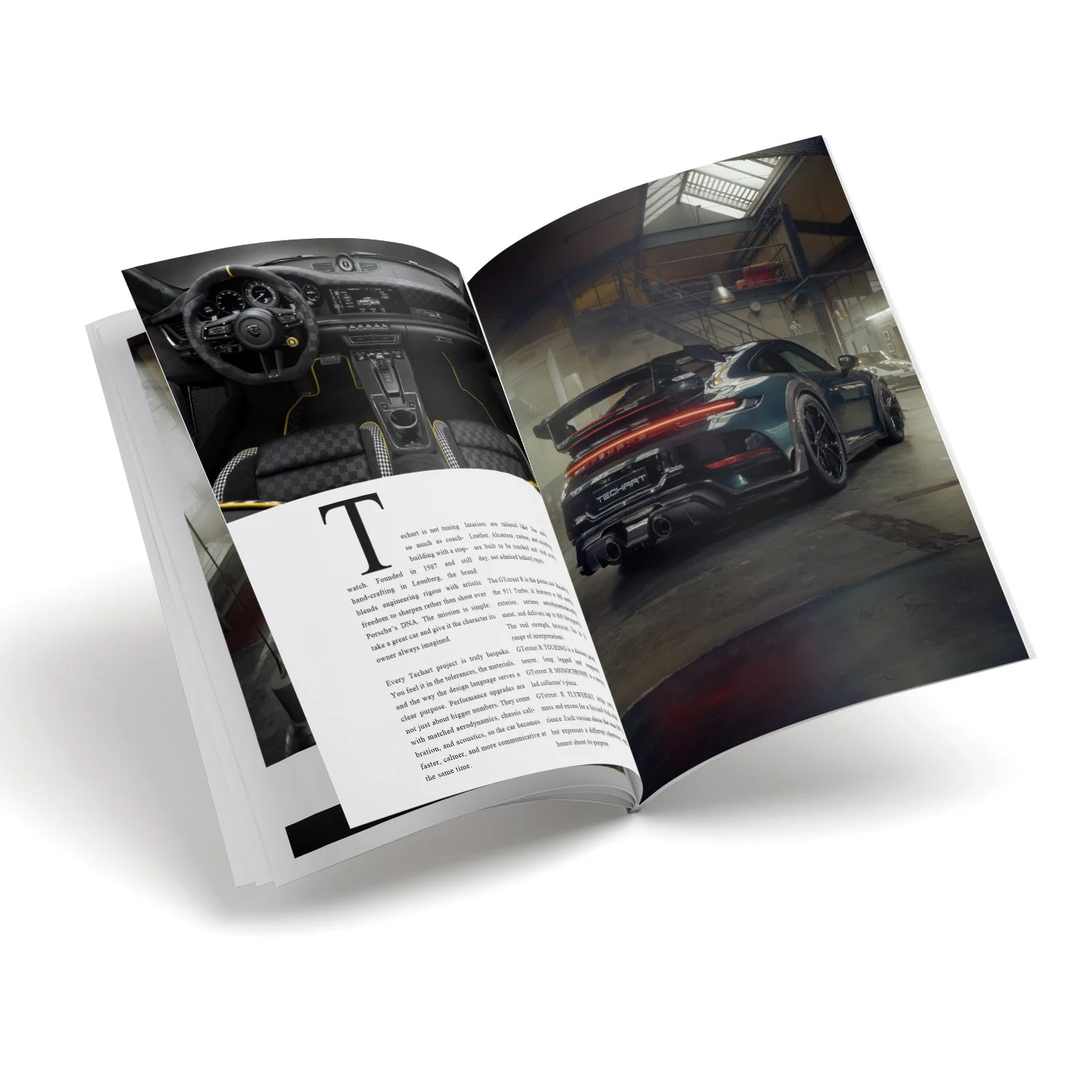 10 pcs inside spreads images for V21_101.jpg