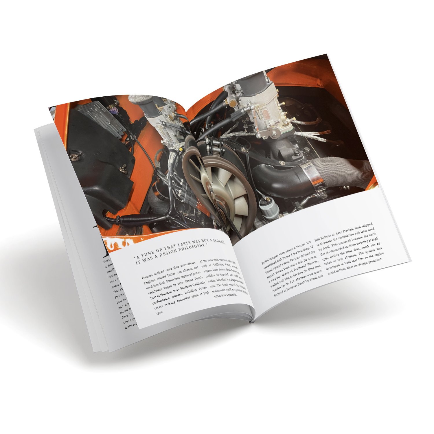 10 pcs inside spreads images for V21_91.jpg