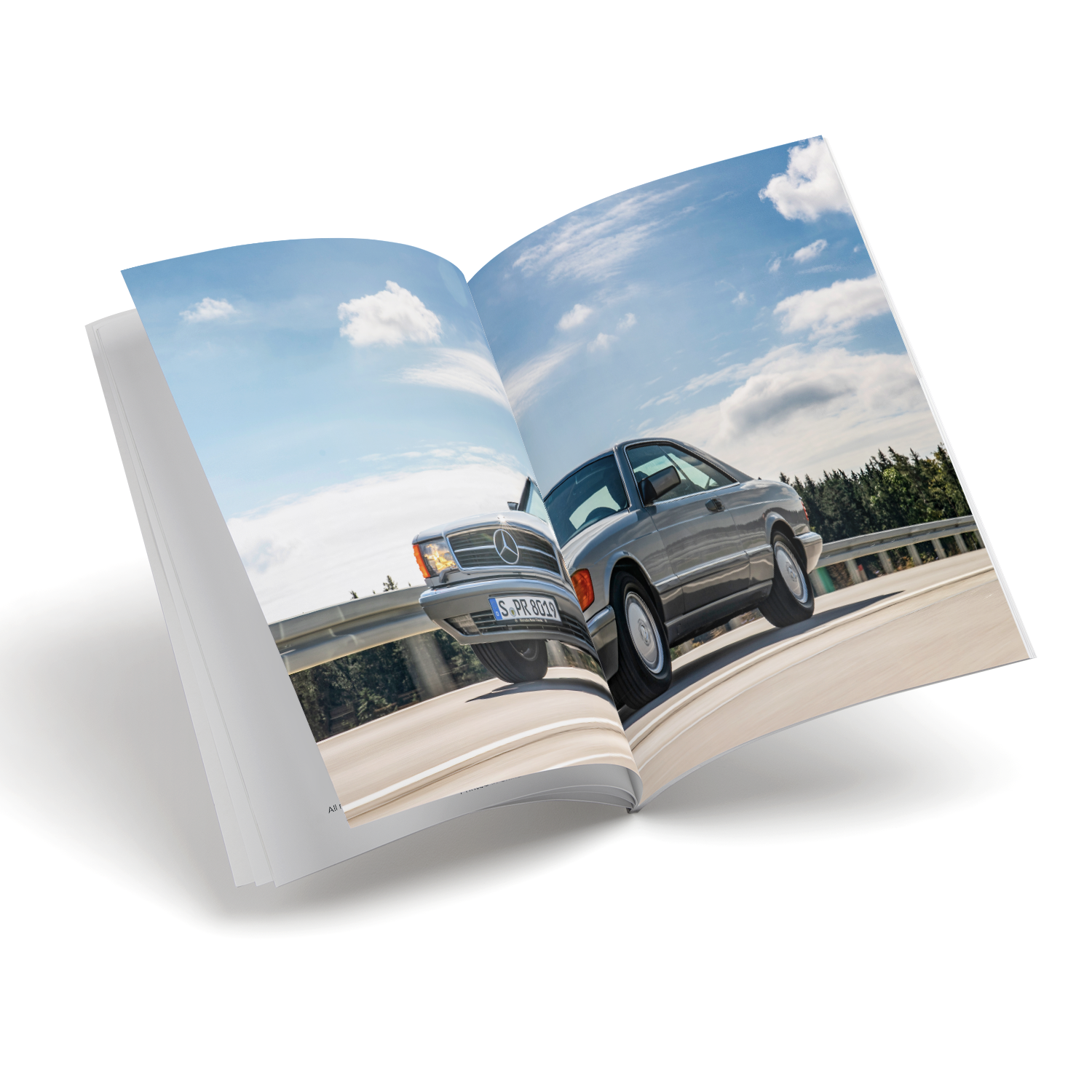 10 pcs inside spreads images for V22_4.png
