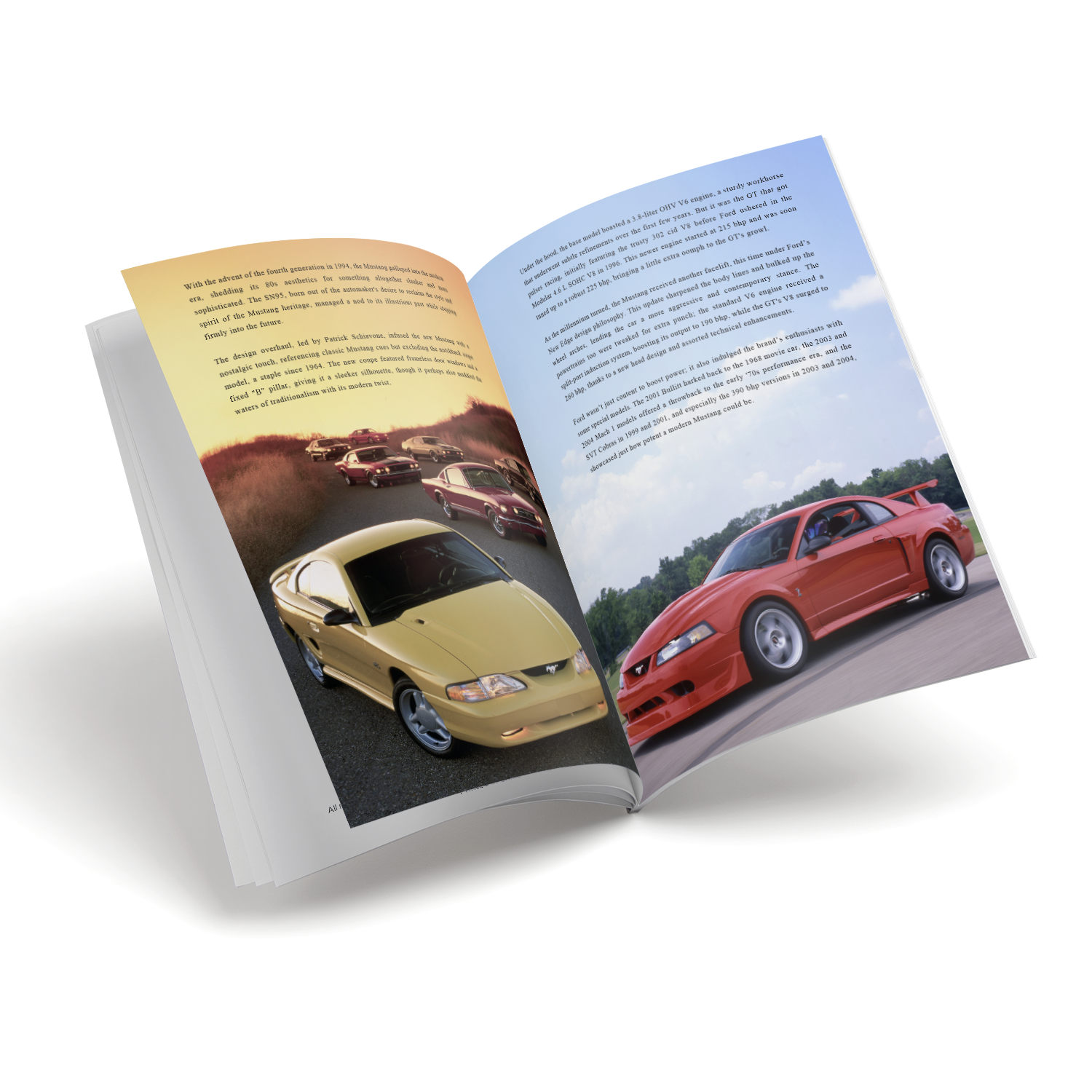 10 pcs inside spreads images for V22_2.png