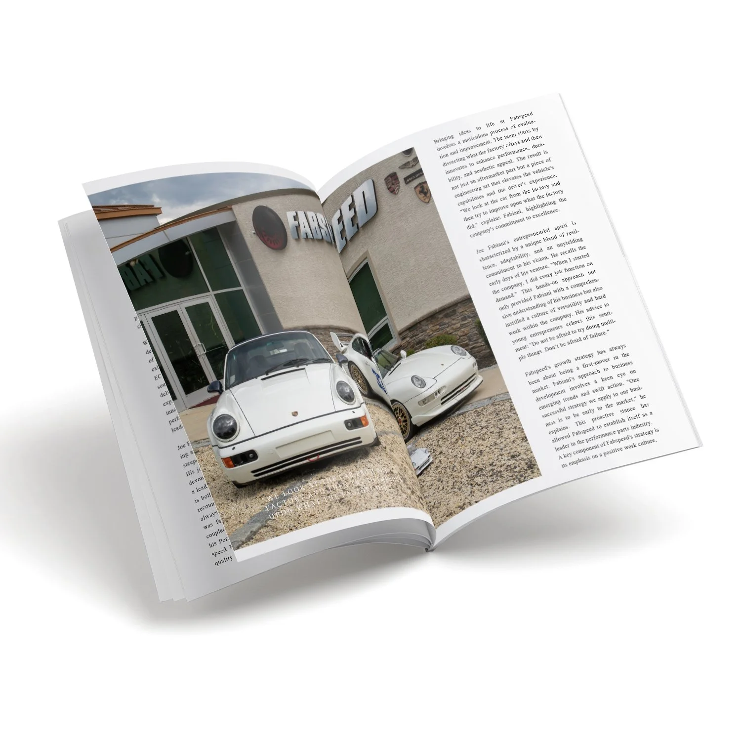 10 pcs inside spreads images for V21_71.jpg