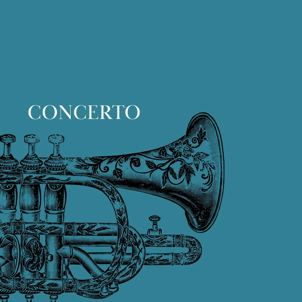 Concerto in Piazza Riforma