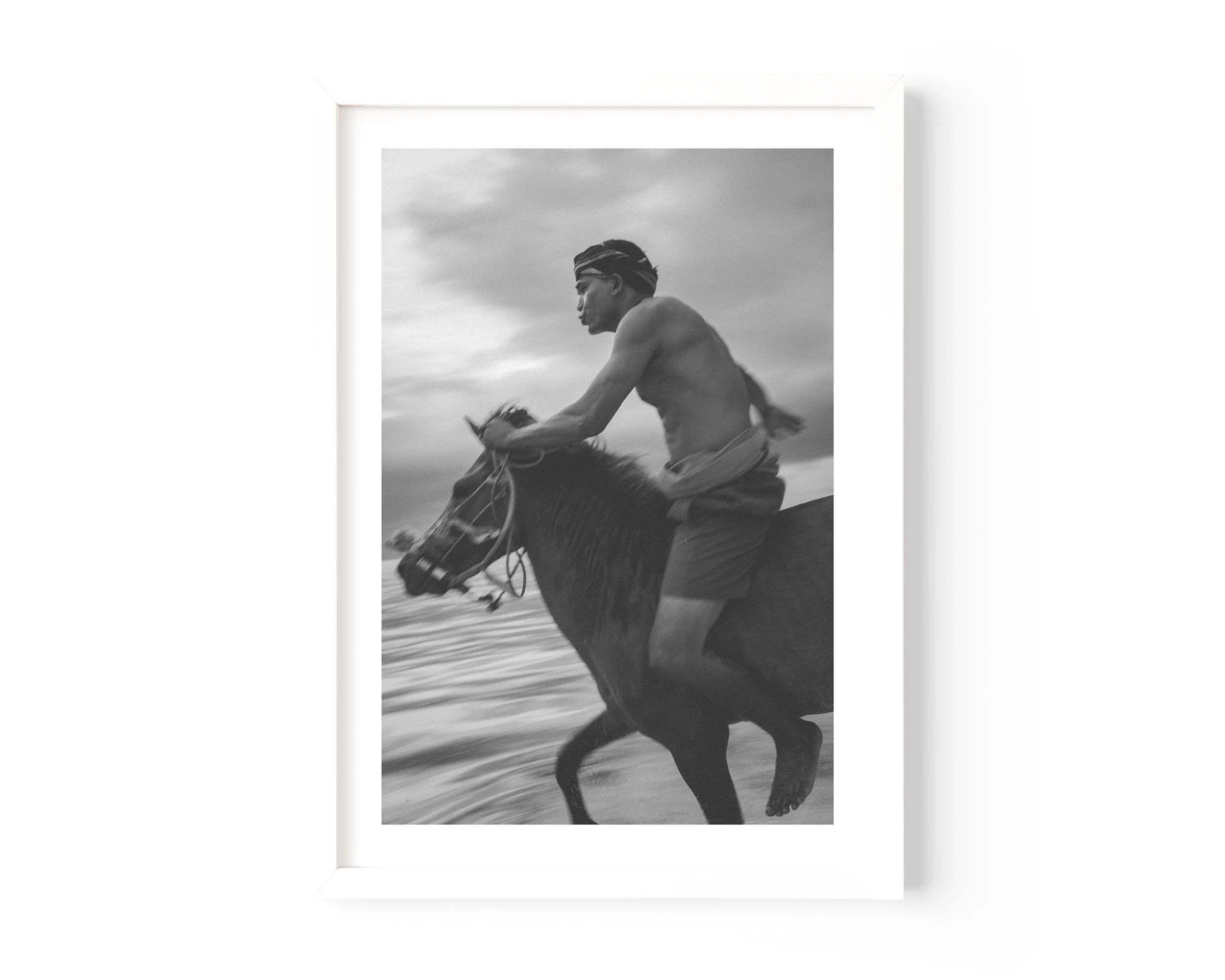 Arthursrilankahorse_white.jpg
