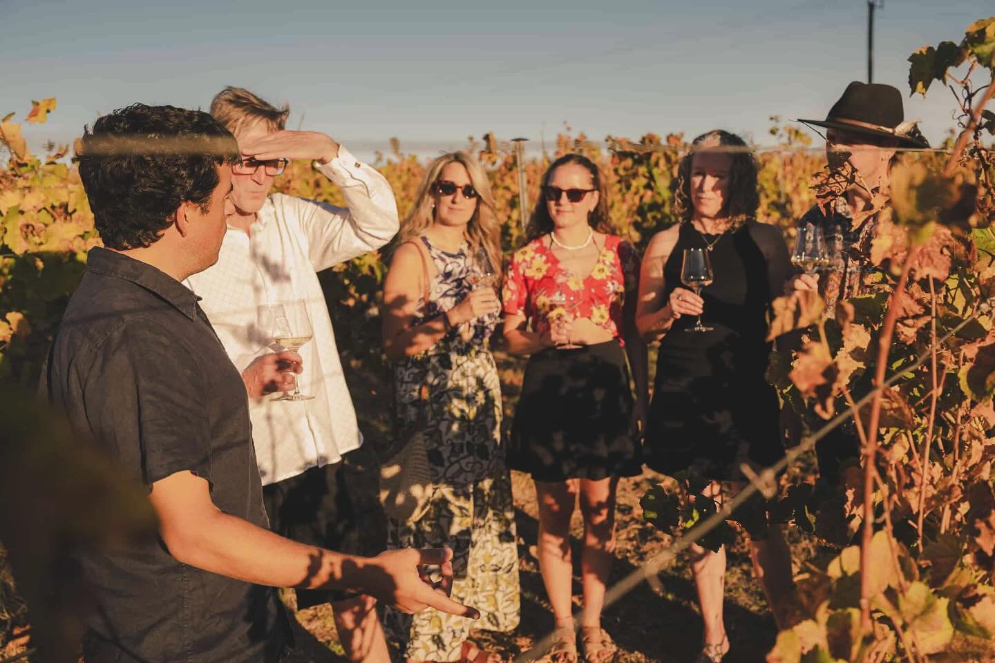 Next time you are in Margaret River and fancy doing a private tour give us a shout. This fantastic group loved their sunset tour, whilst drinking a beautiful glass of Chardonnay at the location it was grown. #privatewinetour #margaretriverwine #marga