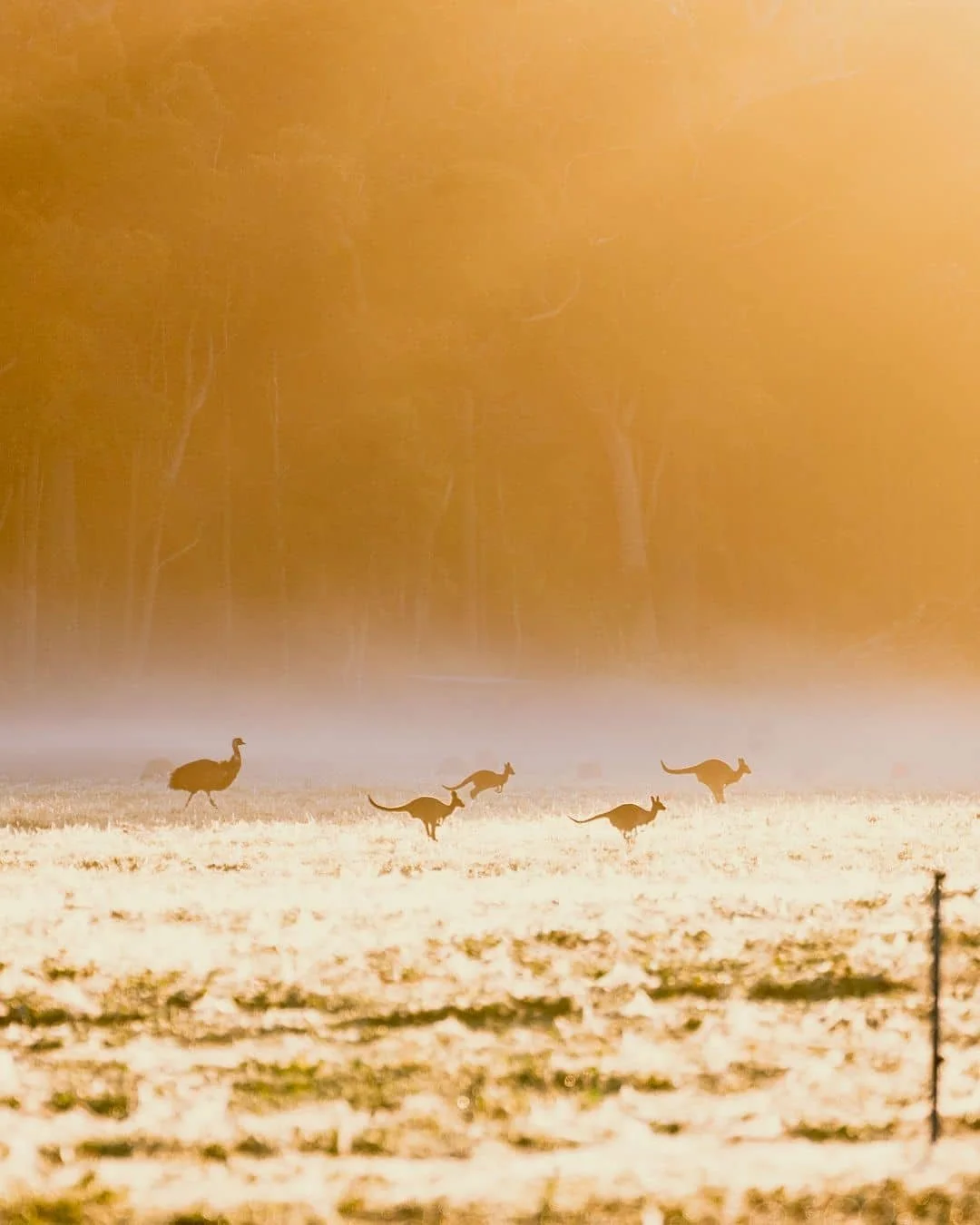 Margaret River Sightseeing Tour for Nature Lovers
