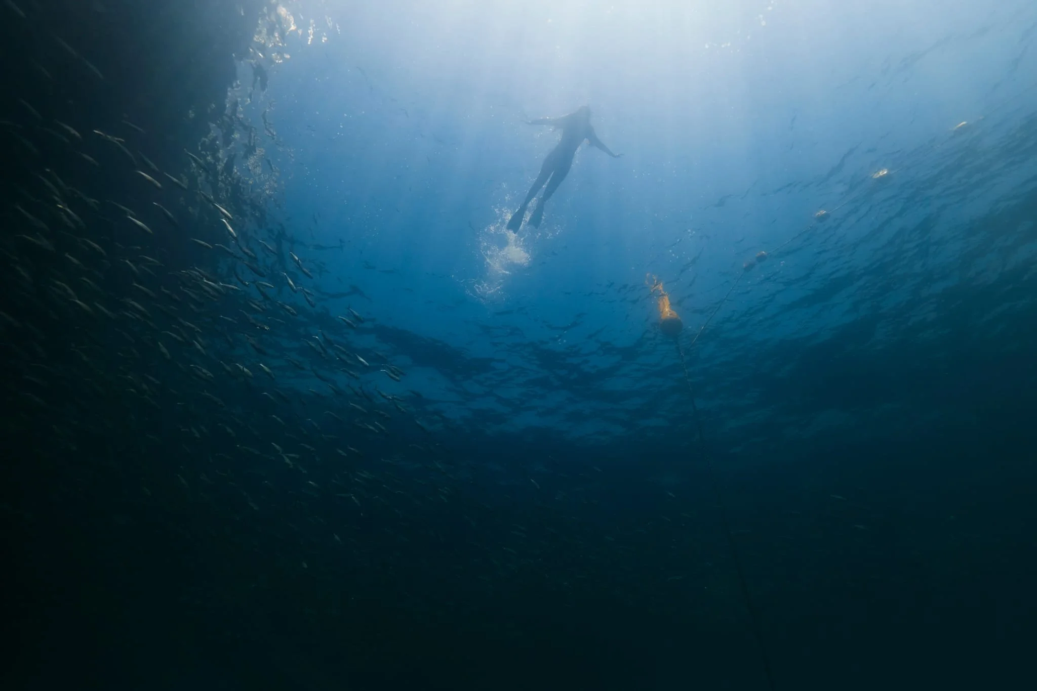 subsea augusta