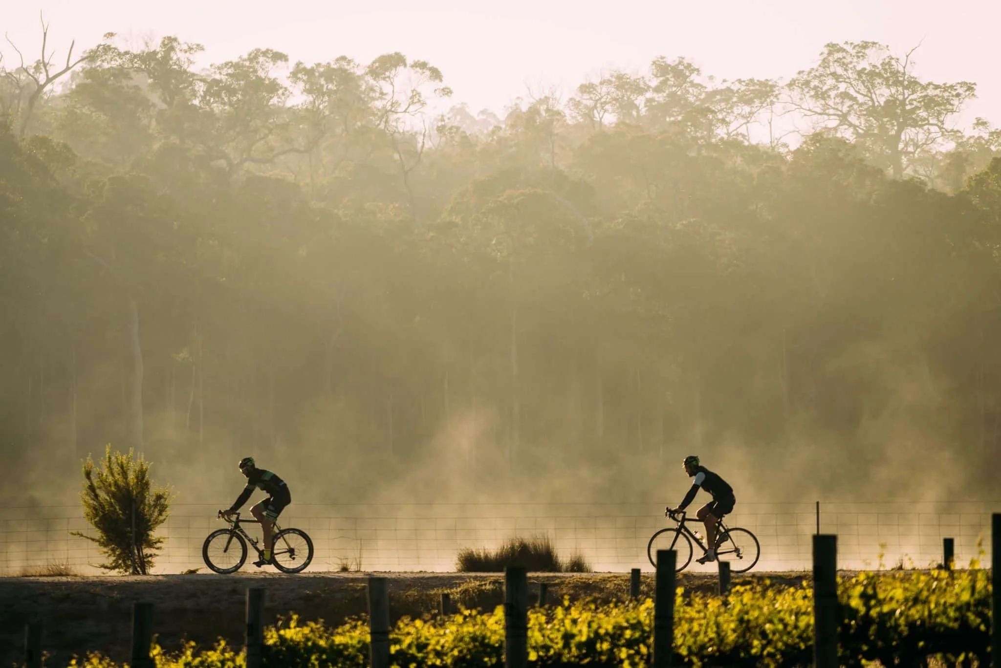 morning cycle in margaret river